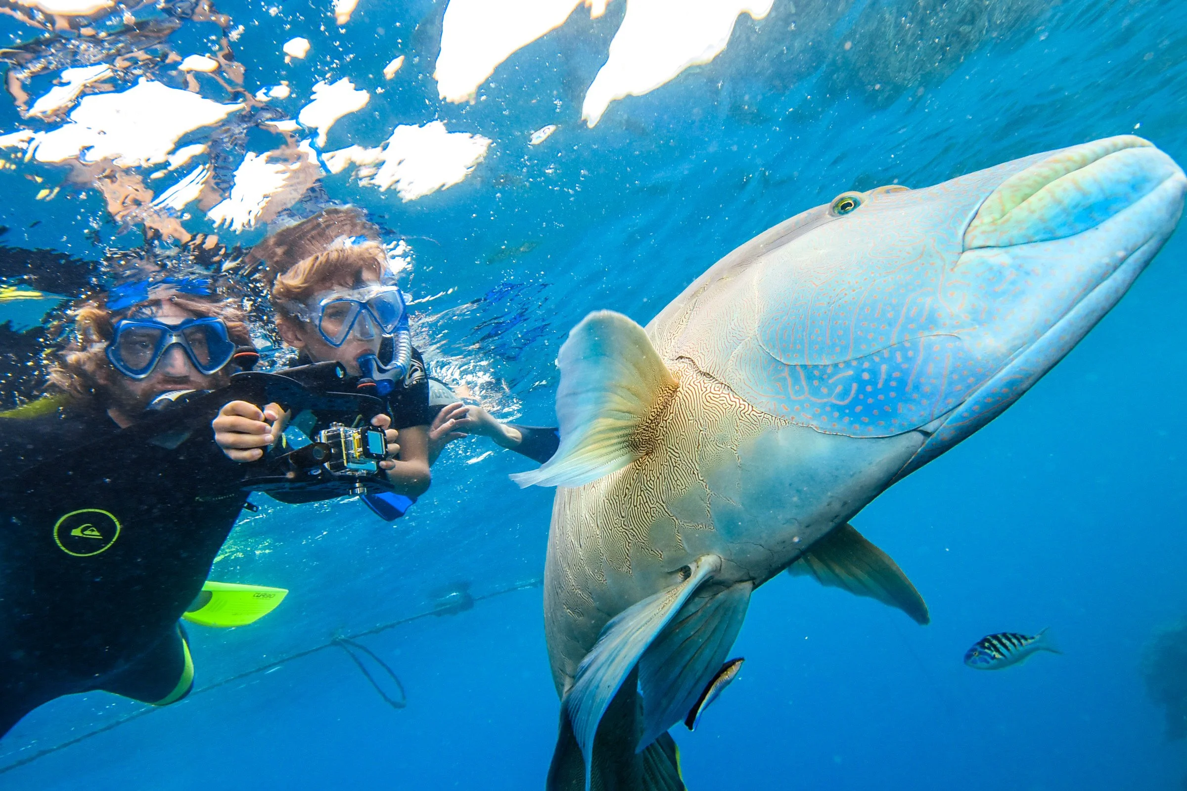 Celebrate participatory ("citizen" or "community") science.....