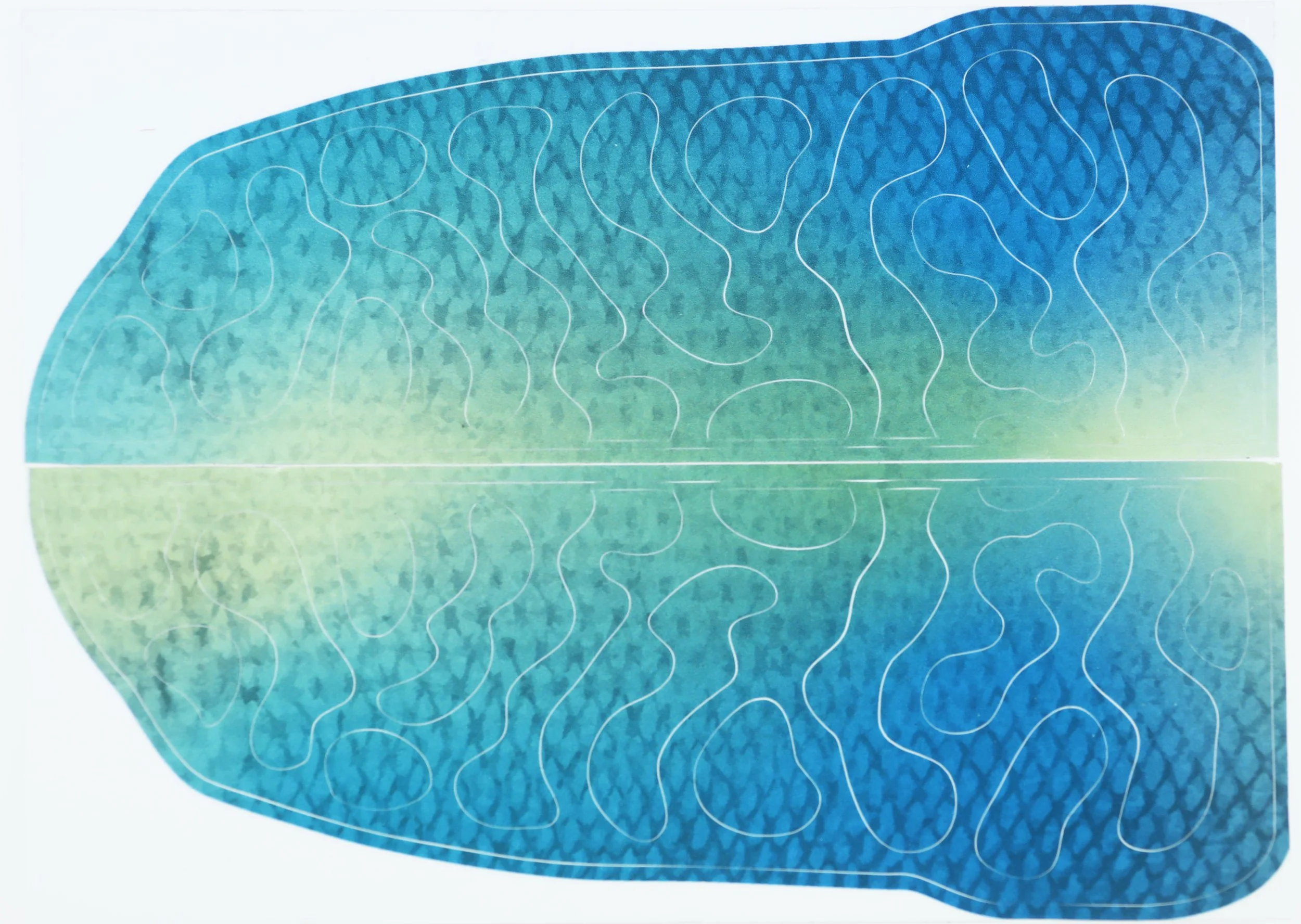 Fish Skin sticker to pimp an underwater angling camera into a baitfish