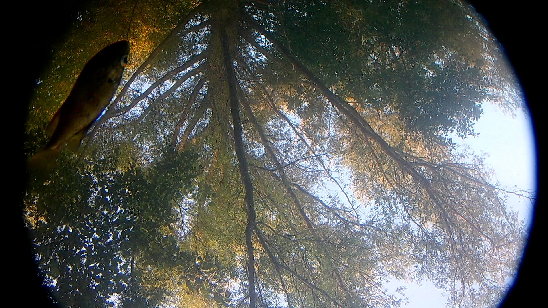 Changing perspectives