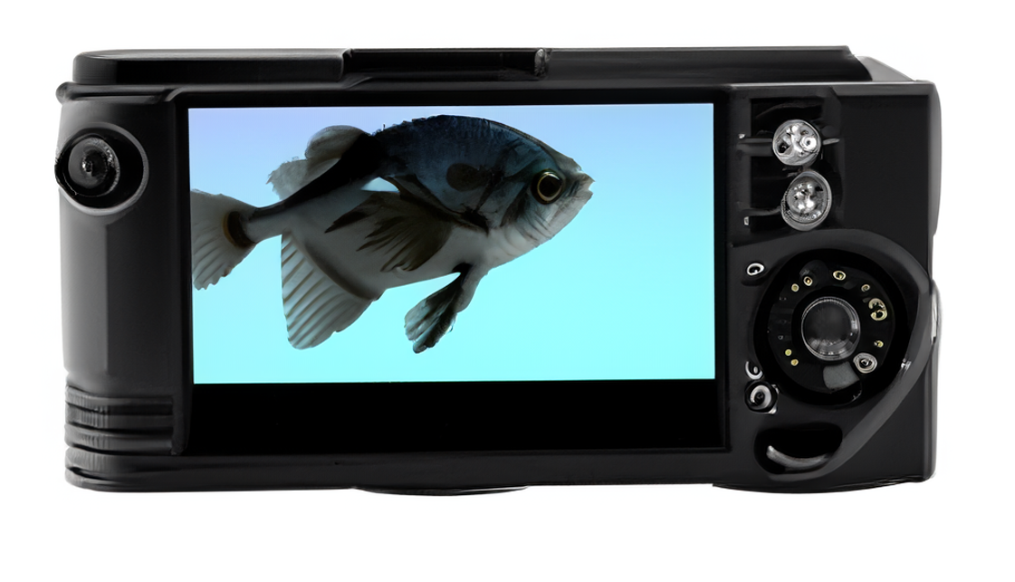 CatchID Symposium in Norway