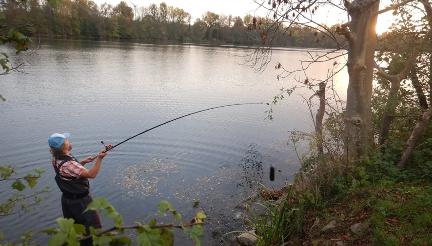 Dr Snapper is back online