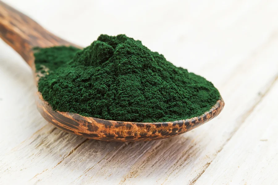 ENERGYbits® Algae Bites