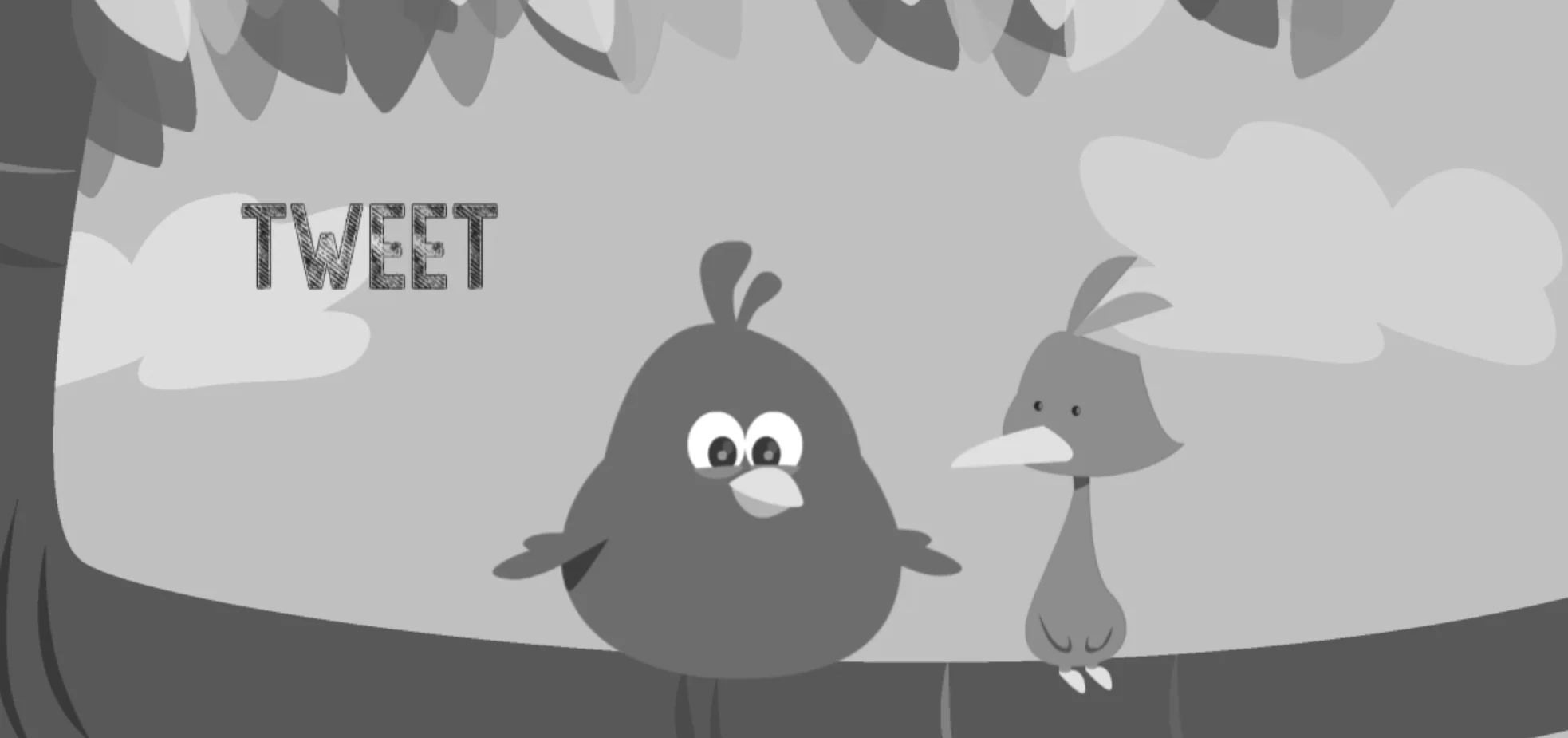 fat bird.jpg
