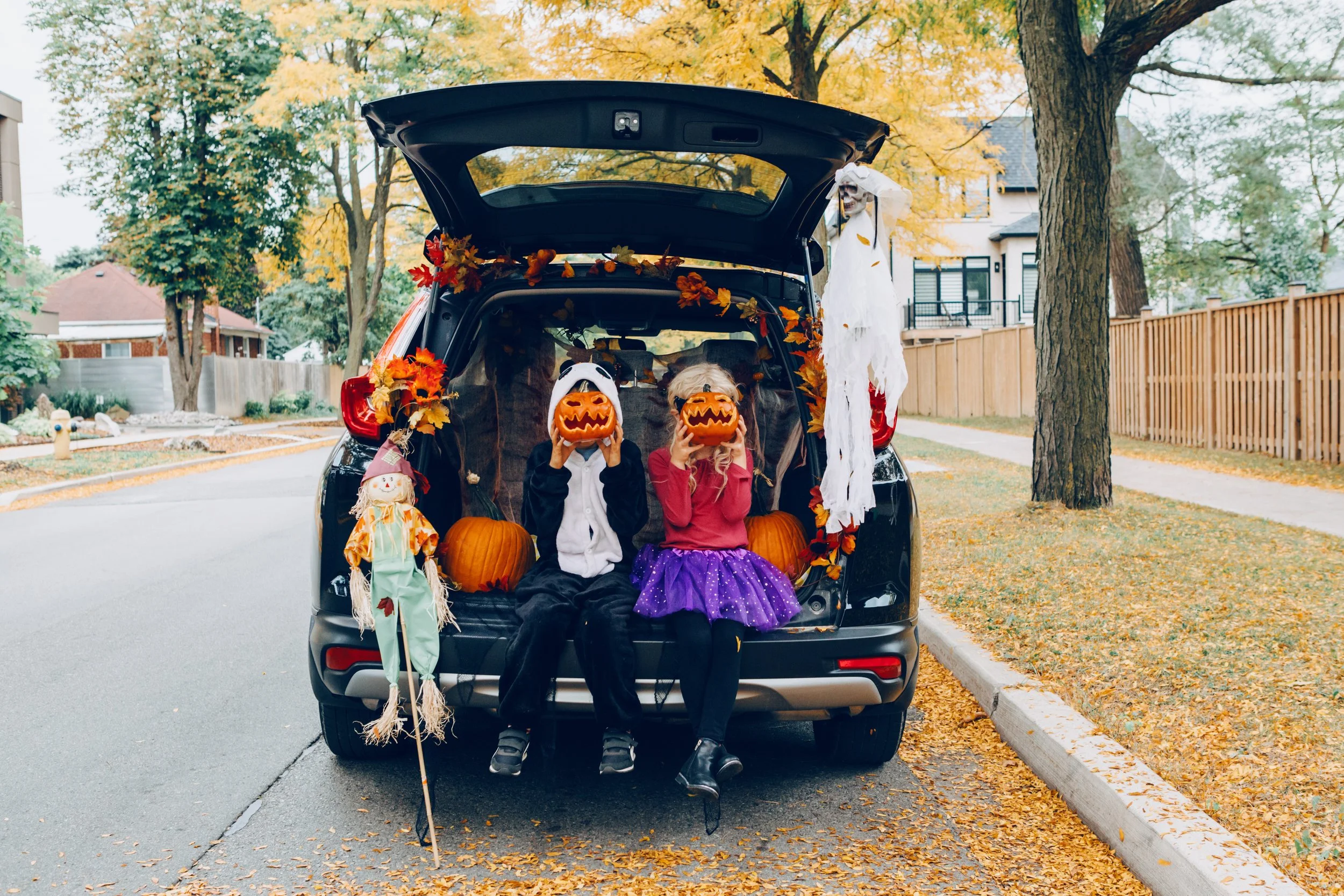 Auto Loans