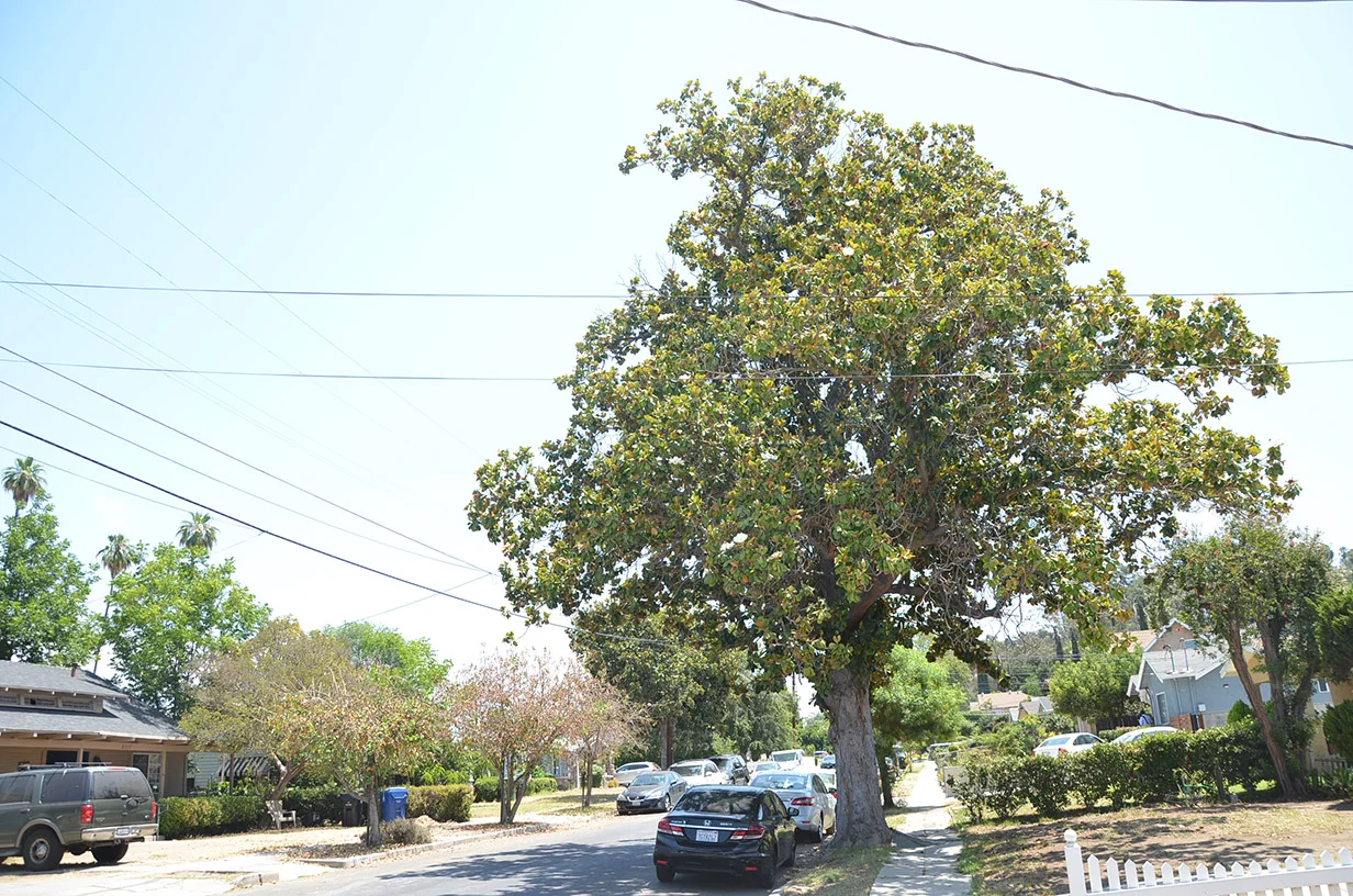 RHB_6959.JPG