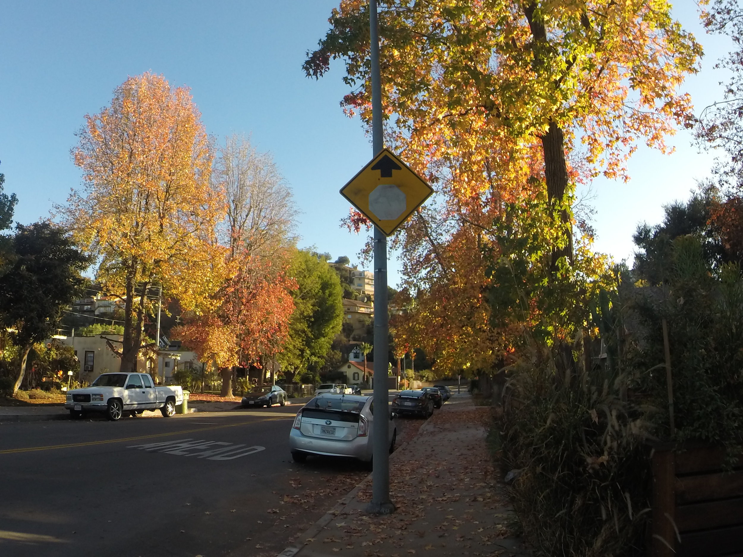 Jogging in Eagle Rock