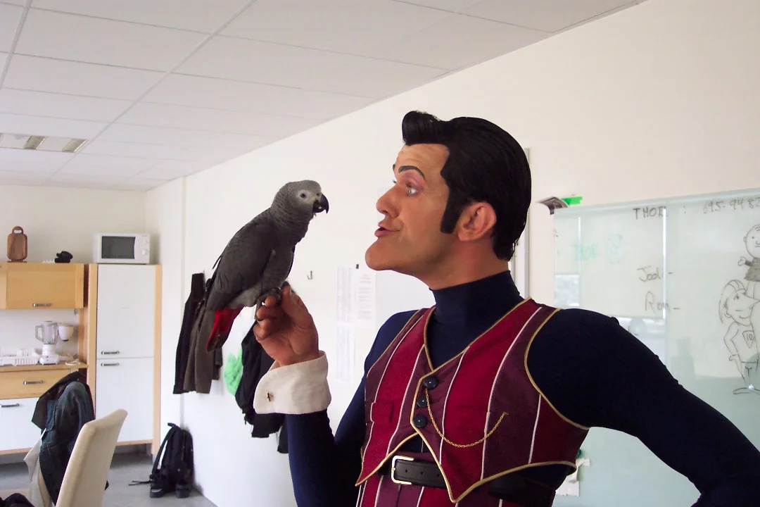 African Gray Parrot Rescue-2004