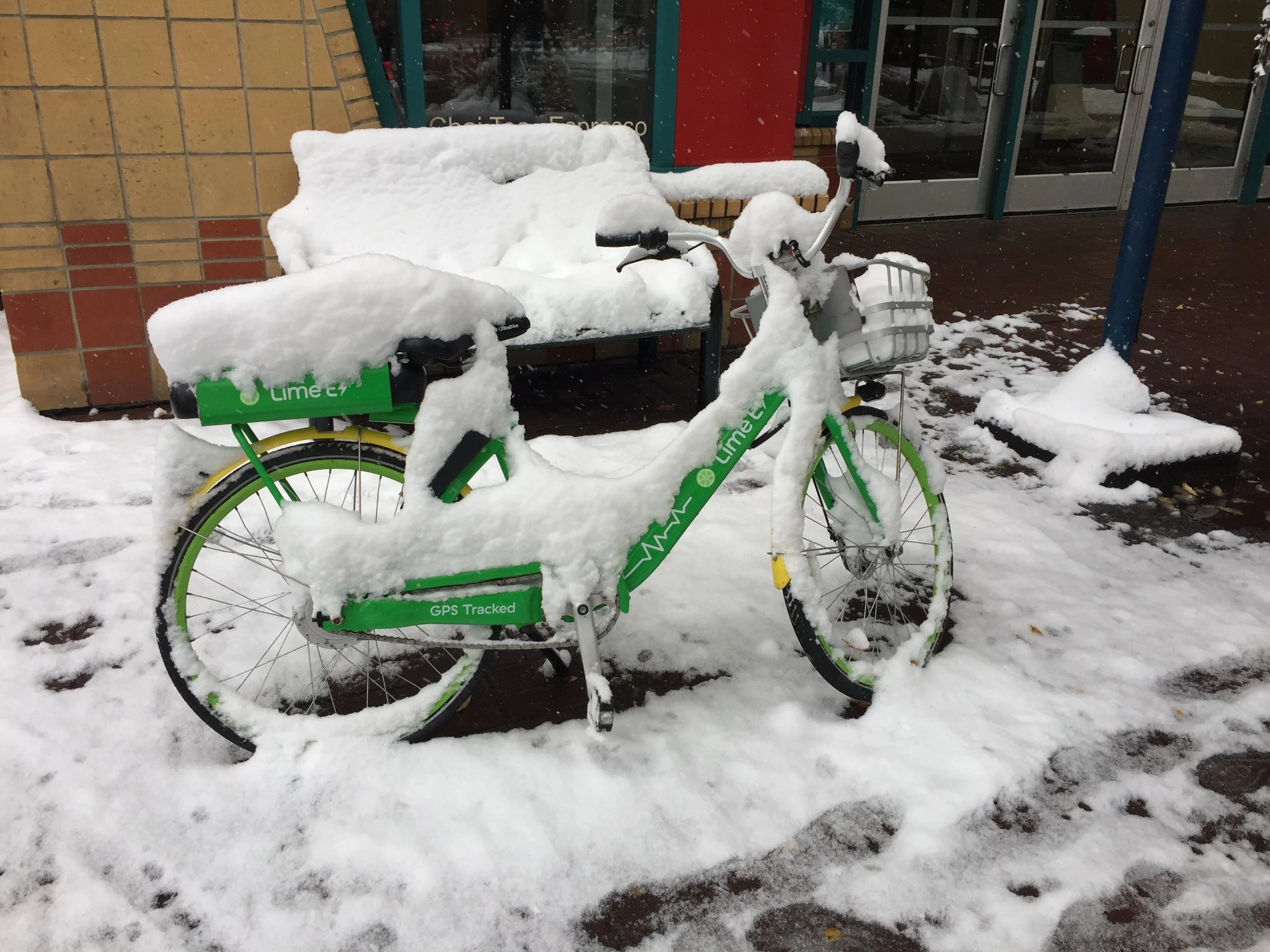 Yet more photos of Calgary, Snow in September!