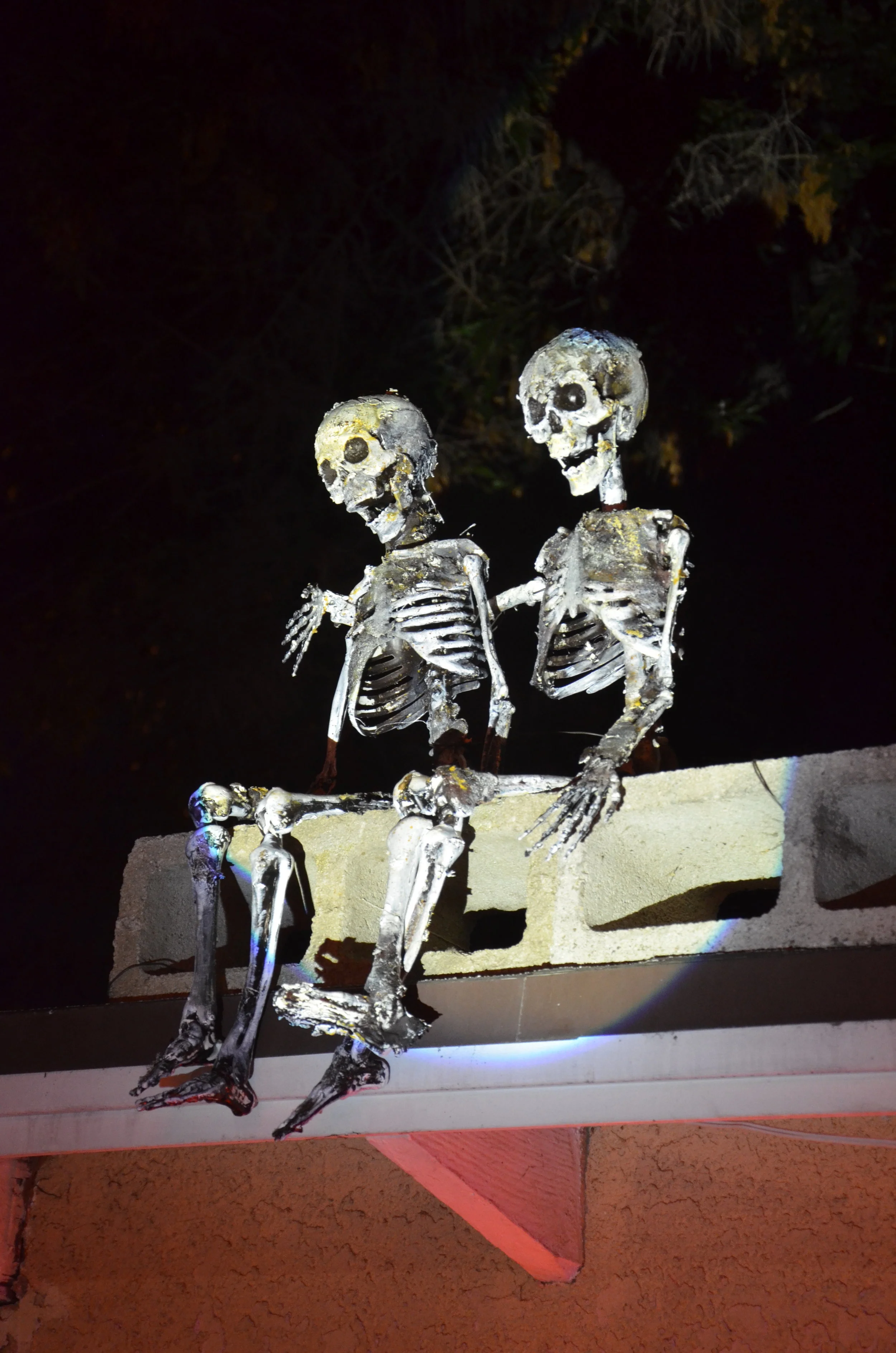 Halloween-Eagle Rock 2019