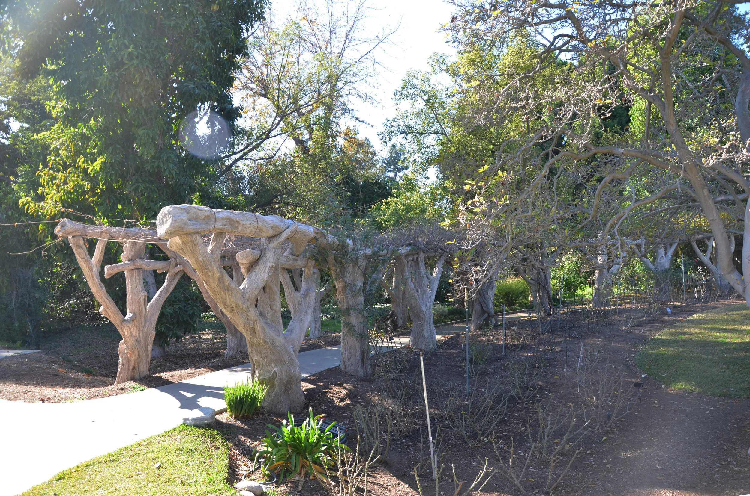 Visit to the Huntington Botanical Garden, San Marino, CA