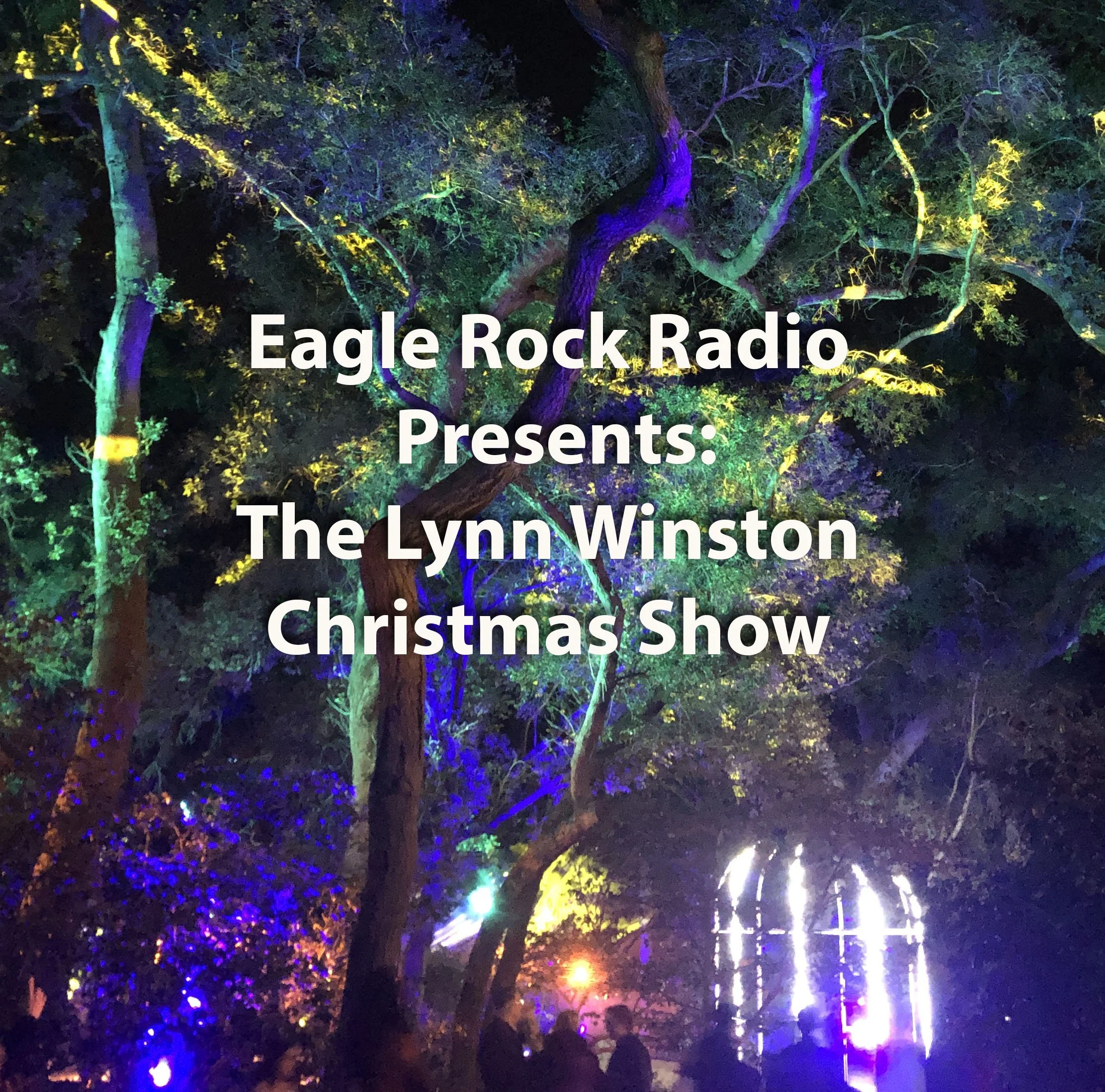 Lynn Winston Musical Christmas Show 2022