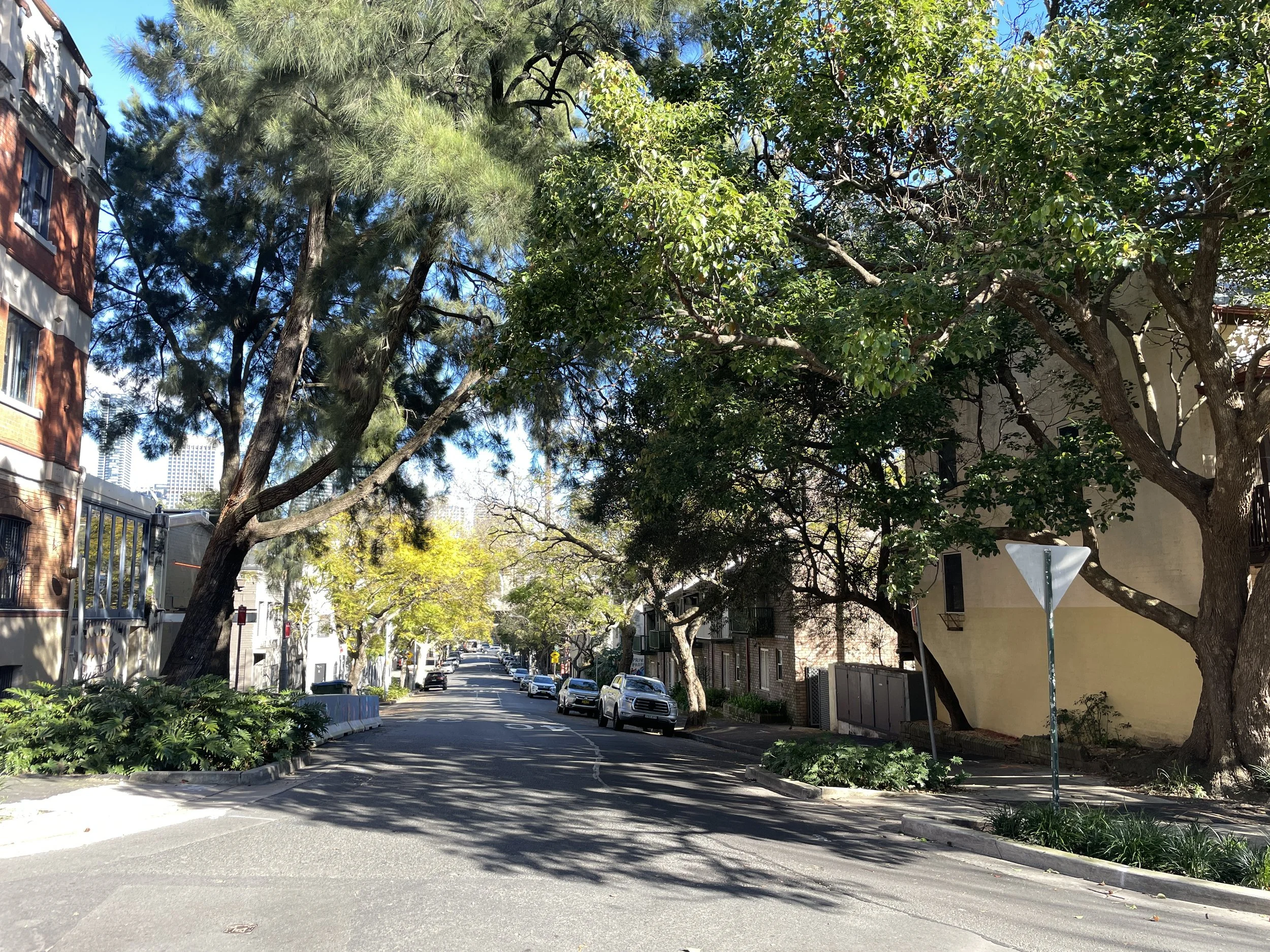 Street Scene-Sydney