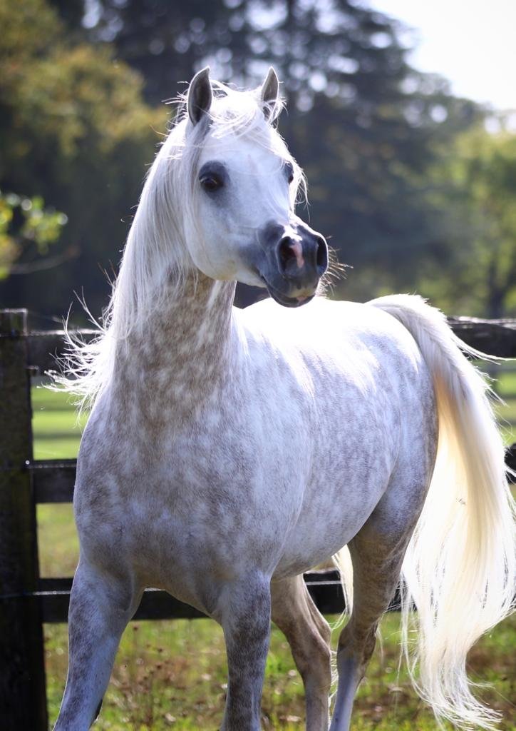 02a6ed21-1dbe-4d66-9ec7-6efddeb40dd0 (1).JPG