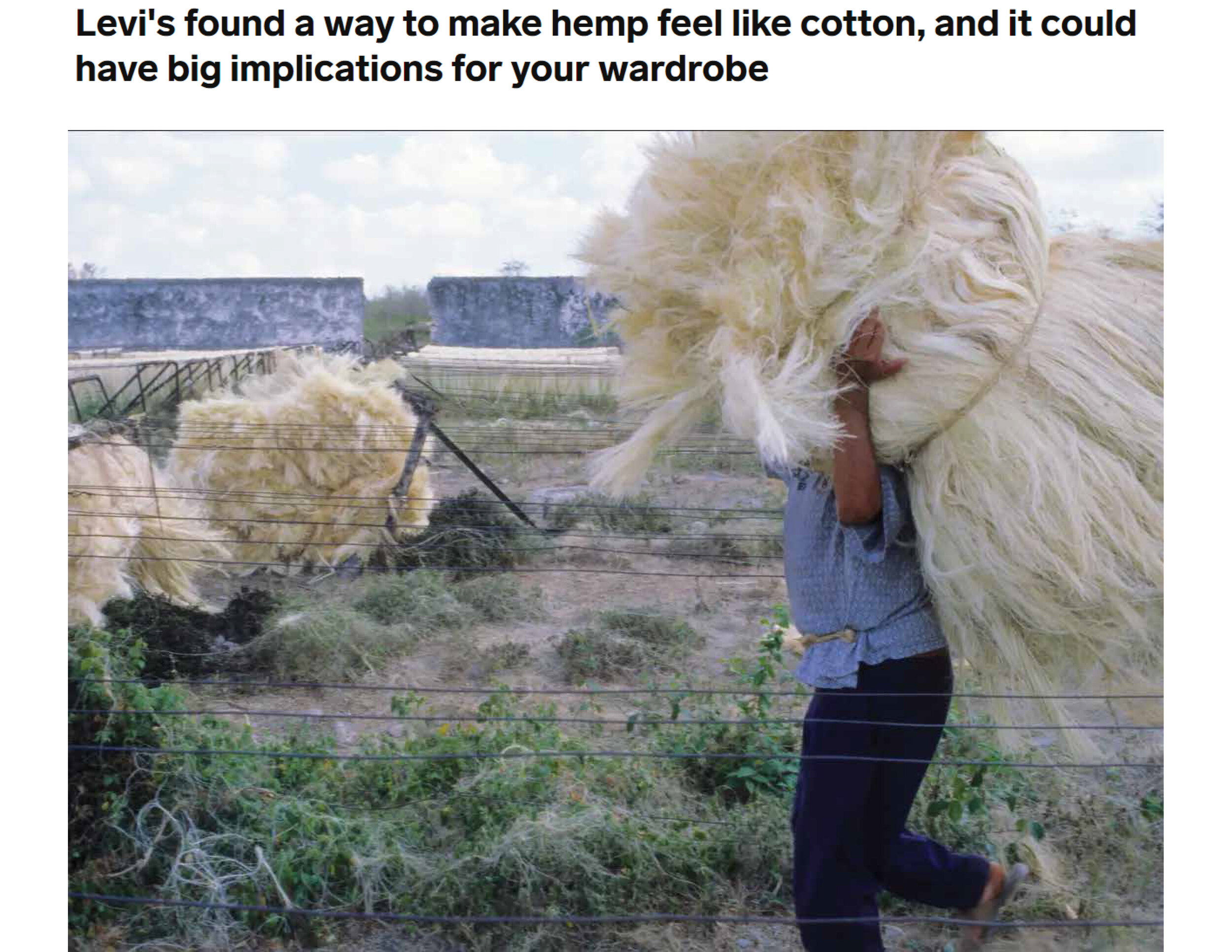 10 sustainability .jpg