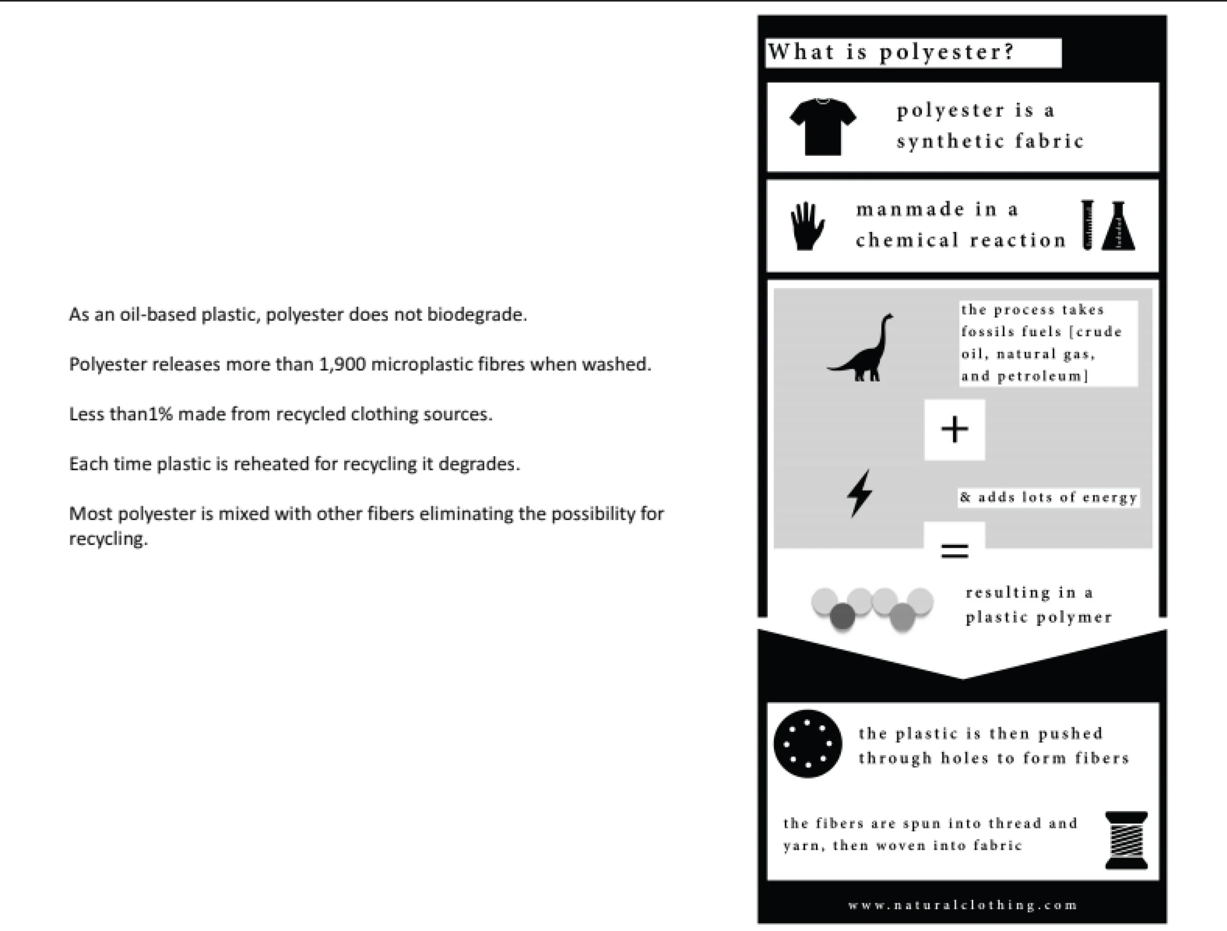 11 sustainability .jpg
