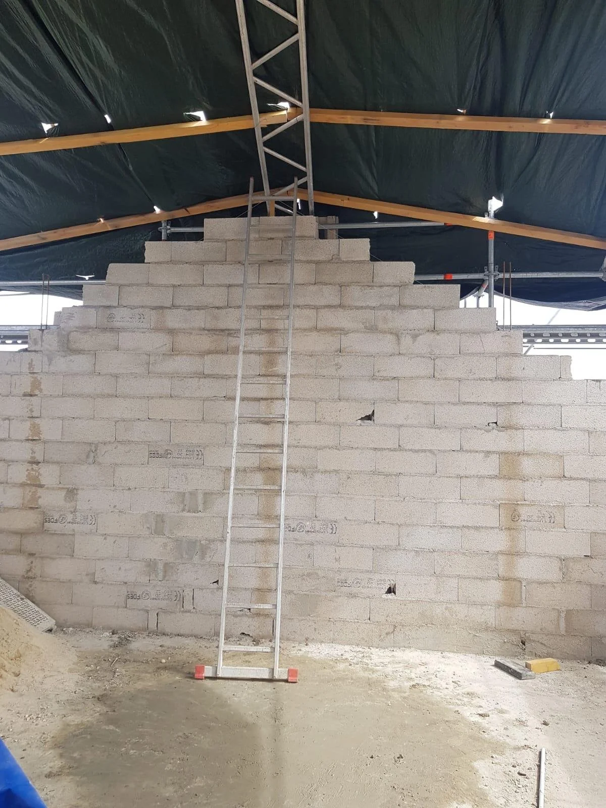 PHOTO-2020-08-19-16-04-04 2.jpg