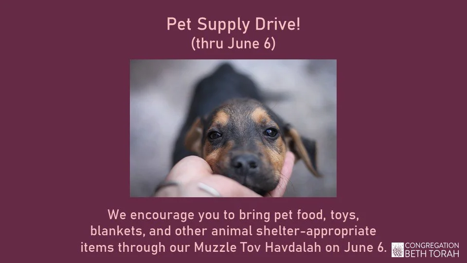 Pet Supply Drive.jpg