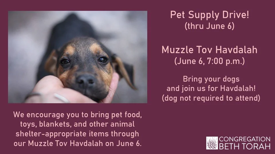 Muzzle Tov Havdalah.jpg