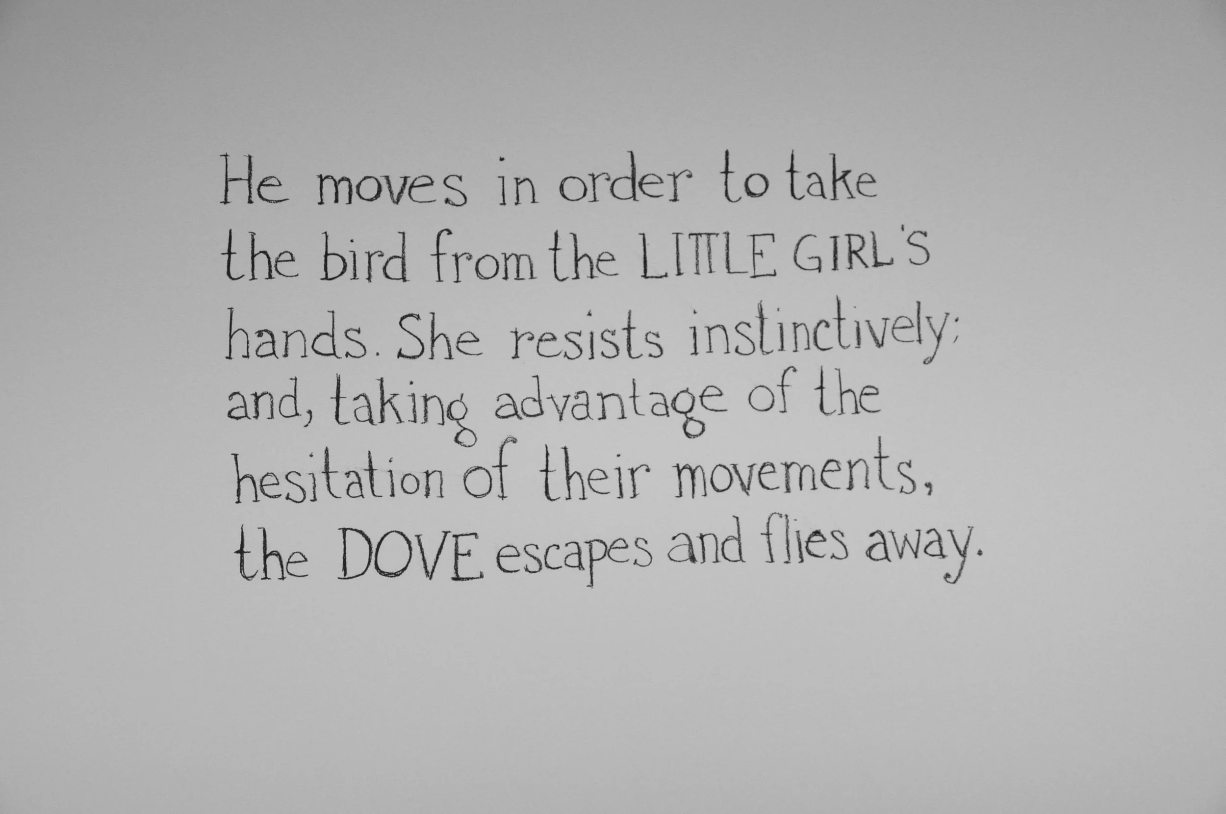 01_DOVE.jpg