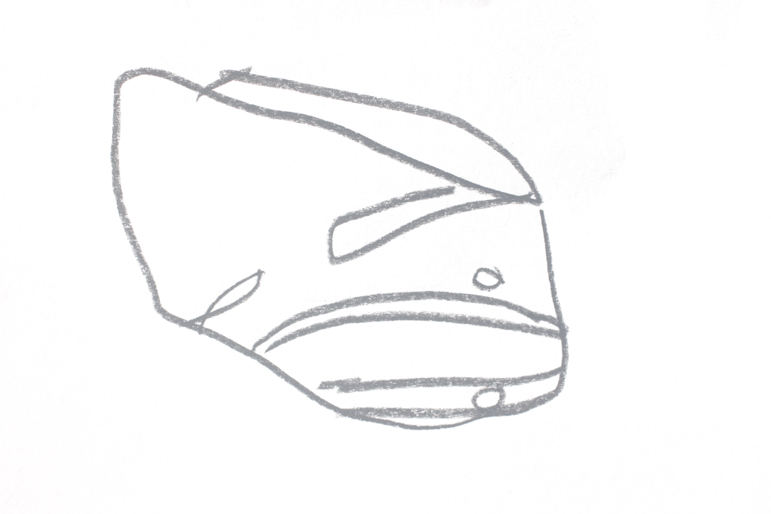 Albatross_Reach20161214_01 (218).JPG