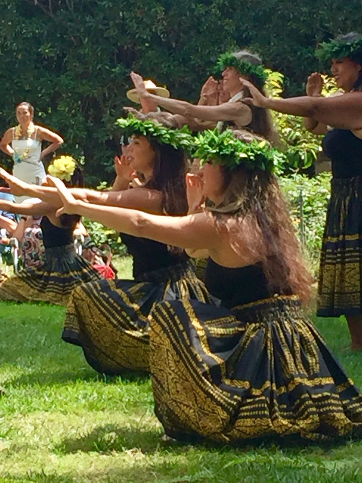 Announcing the return of Hula Anyone's annual Garden Concert!