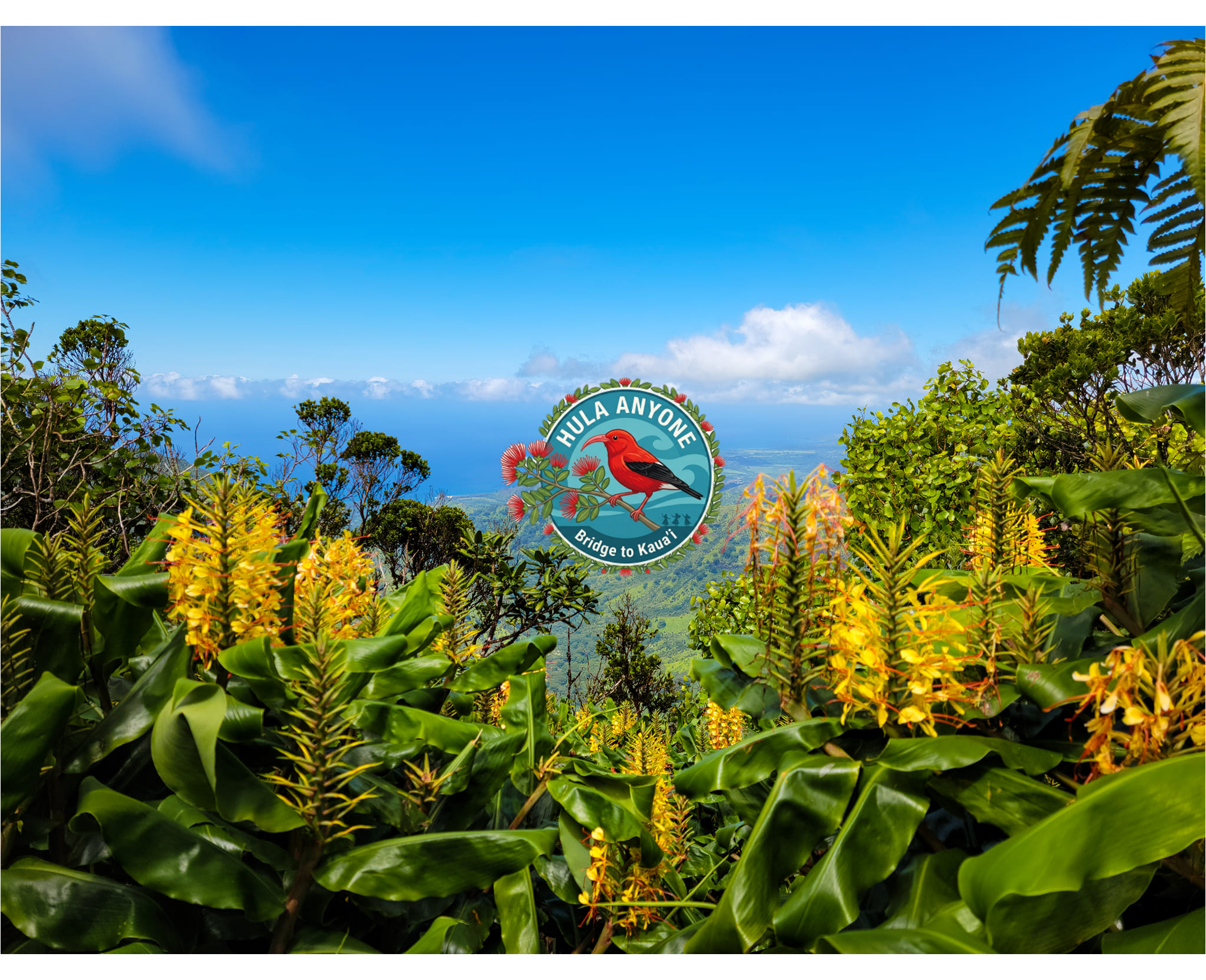 HULA ANYONE WEBPAGE BACKGROUND BRIDGE TO KAUAI.png