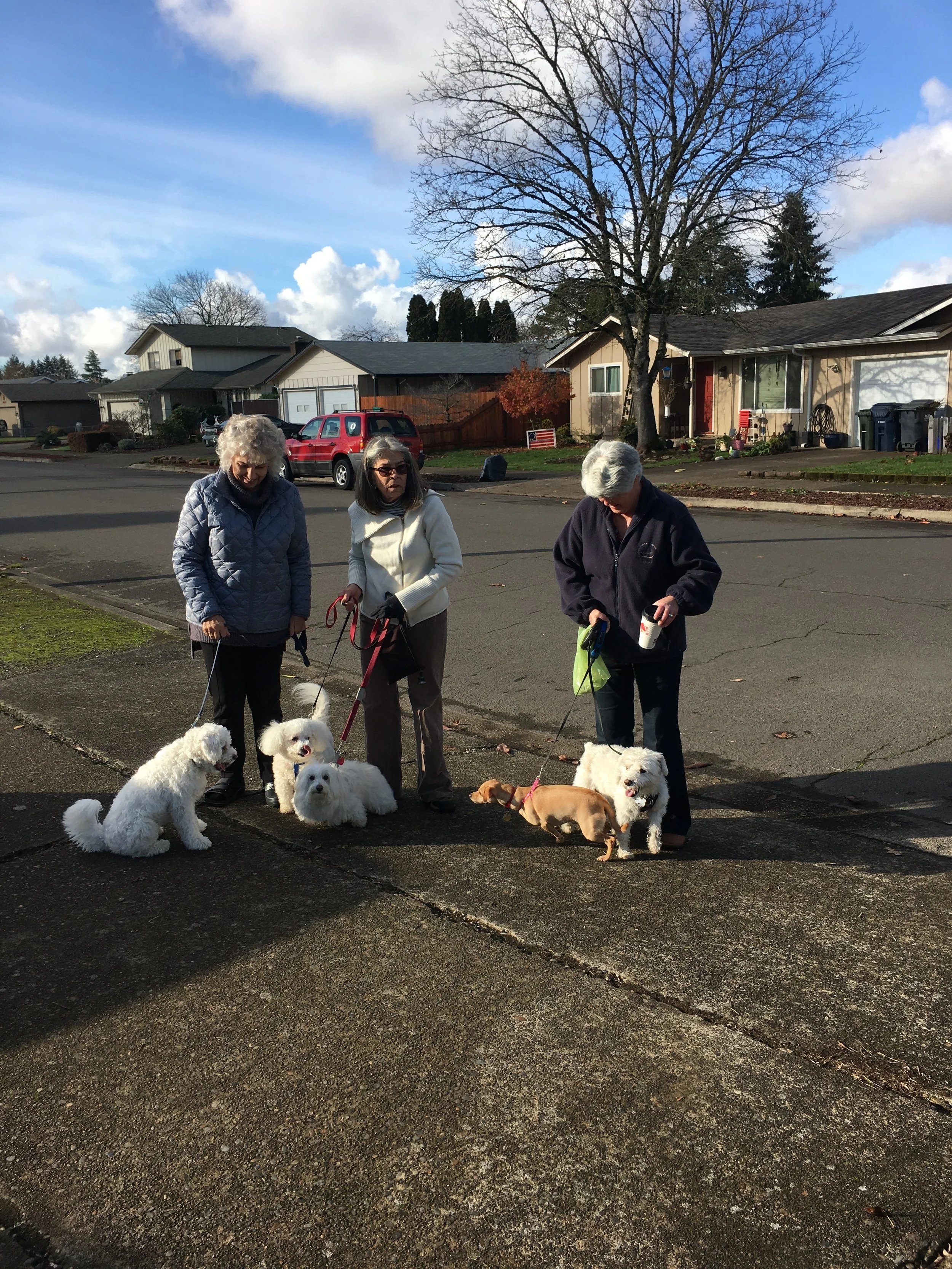 IFTCABASODDAU(chores)