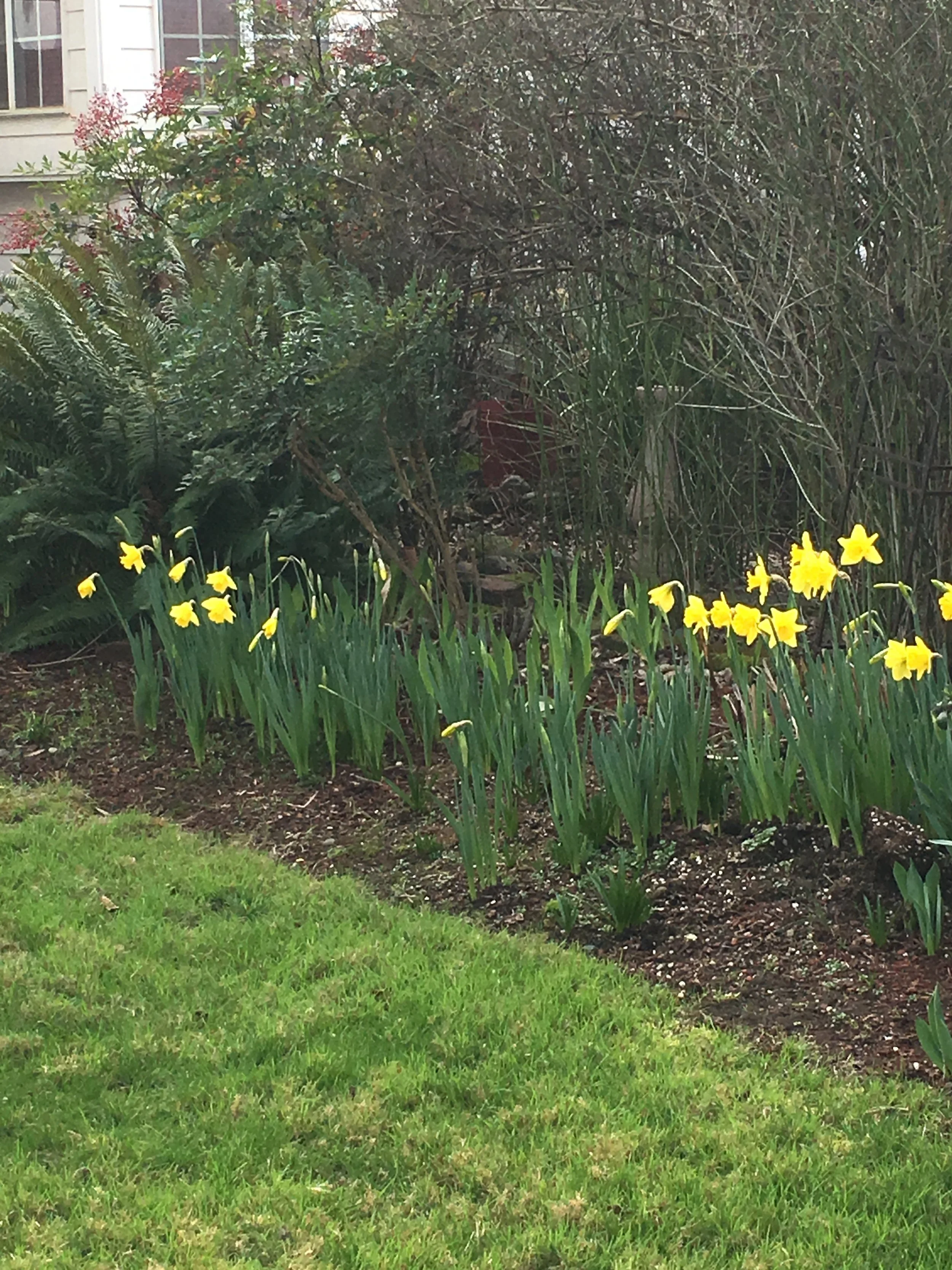 SHOSWHOSASO(smiling)