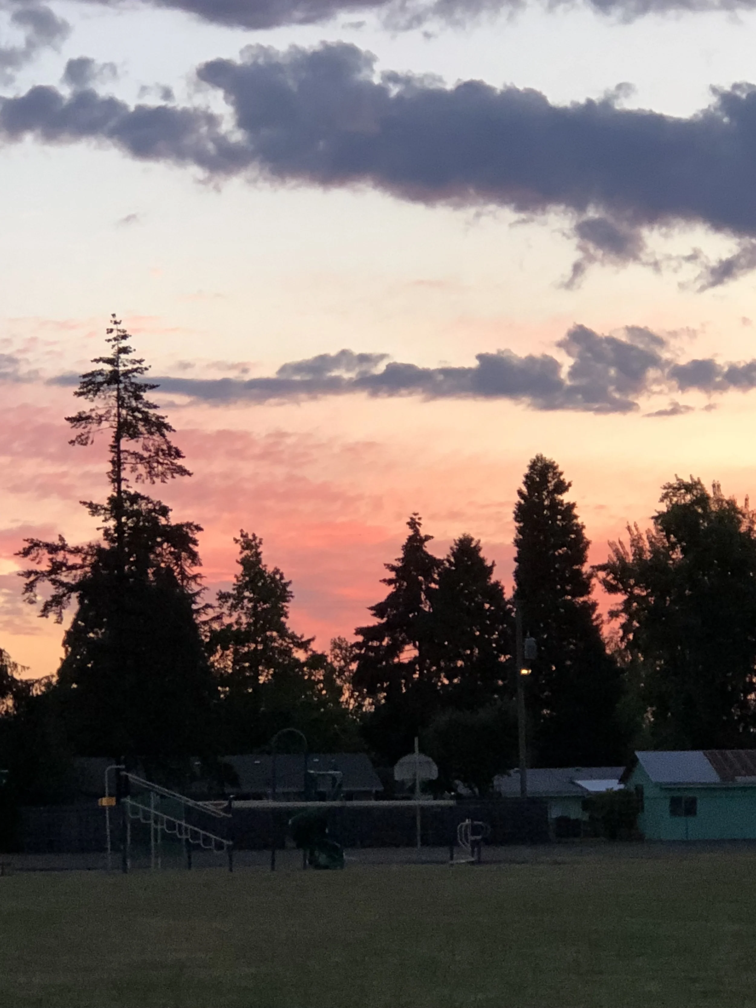 CLIPOTE (smelling roses)