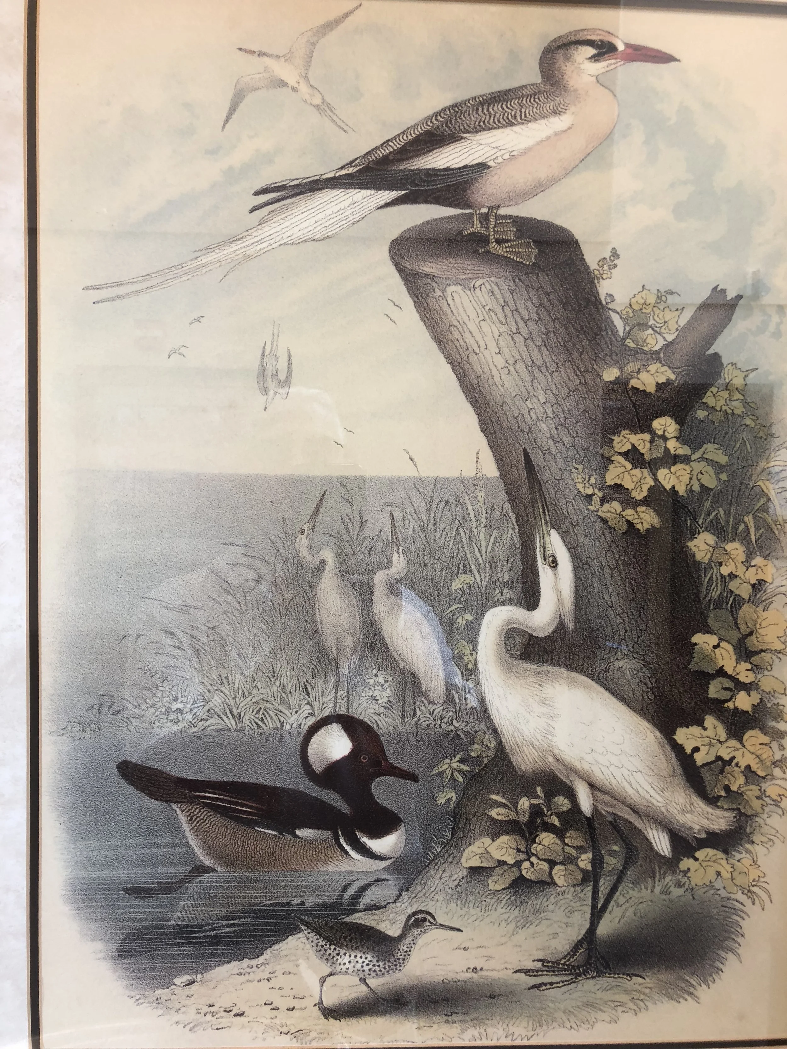 A’WASTTAT/TATA’WAST(unity)