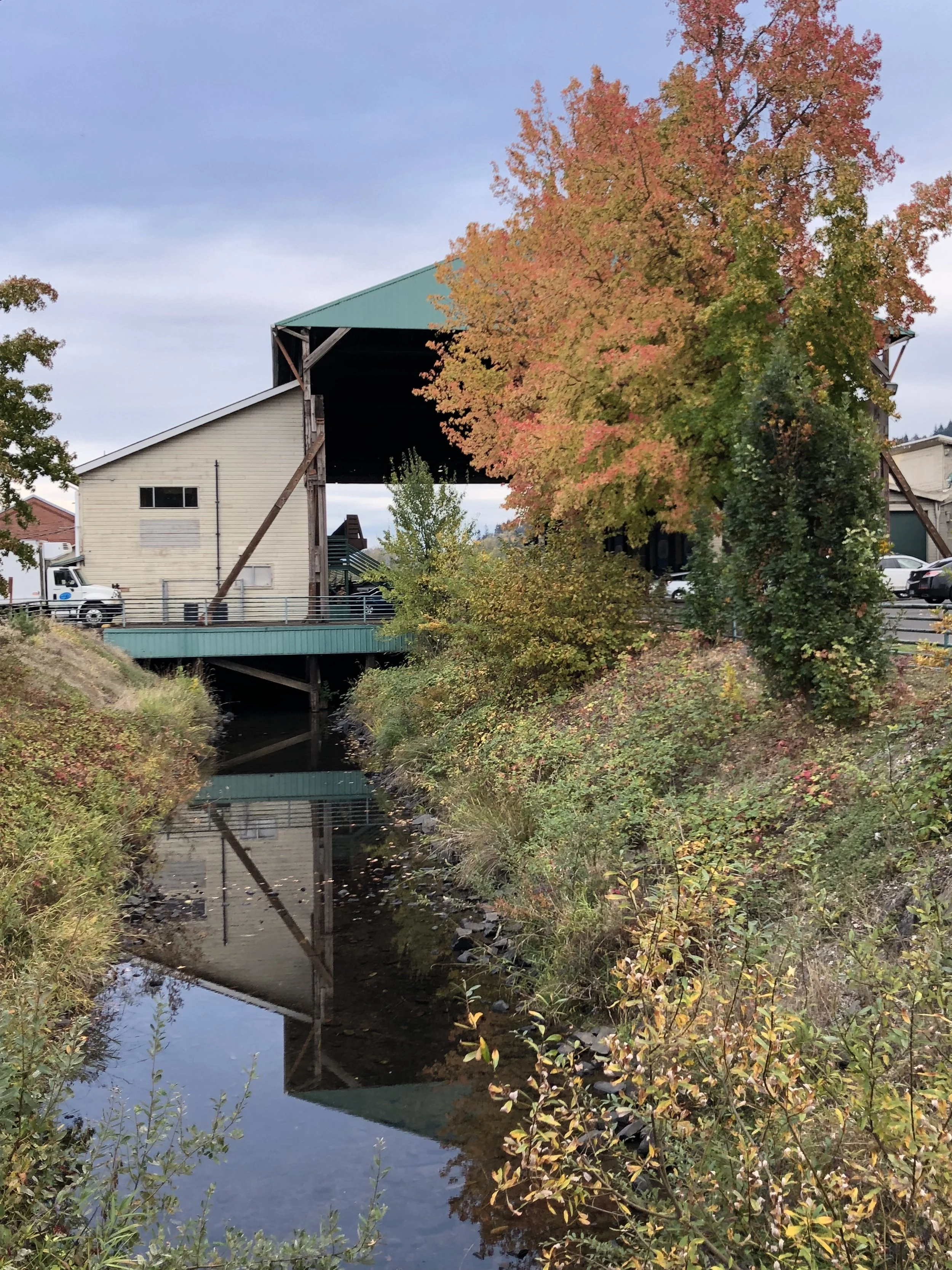 AMCOISF : the mirror