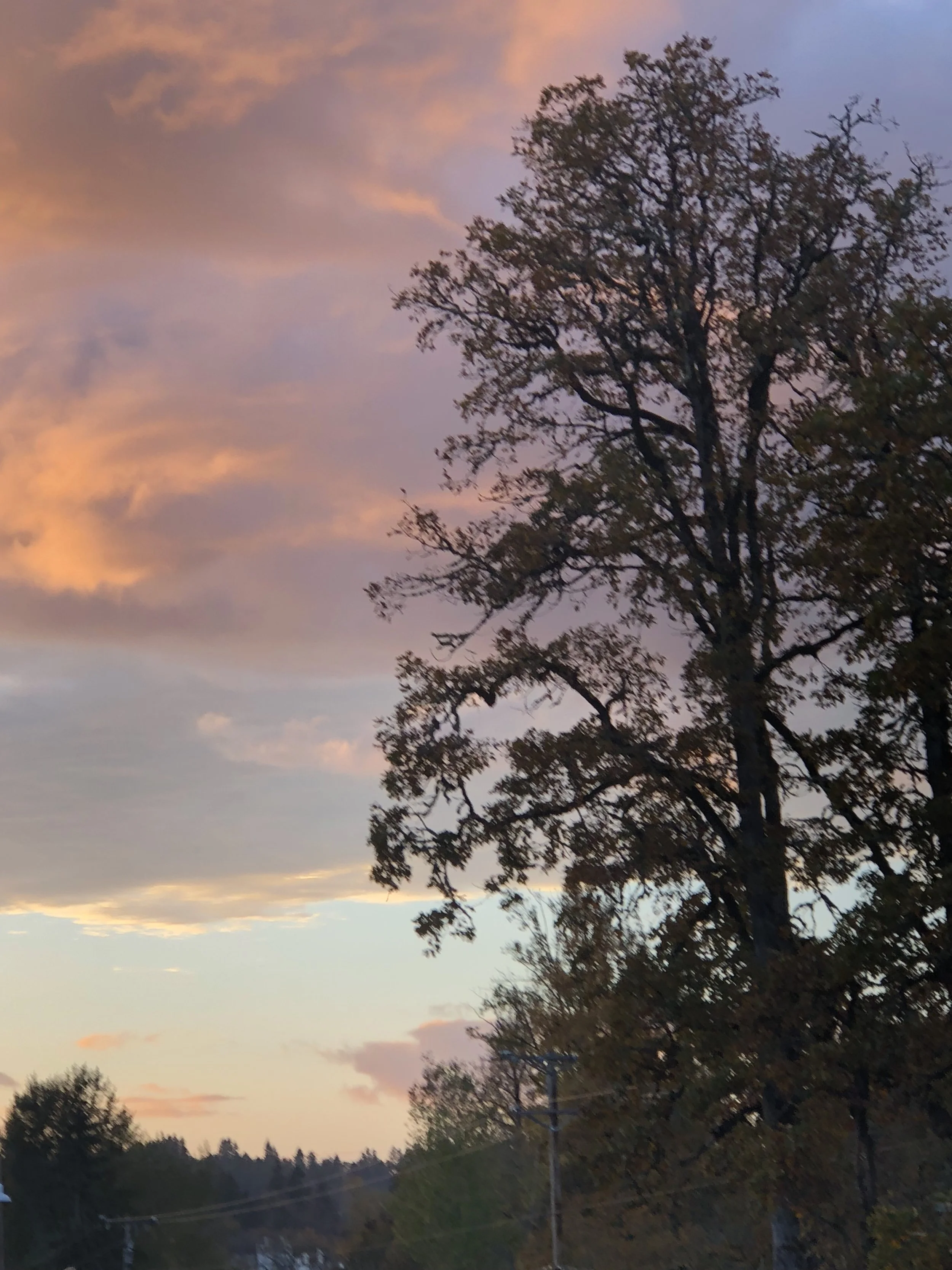 MYGUMP/MYGUMPGUMP(hello)