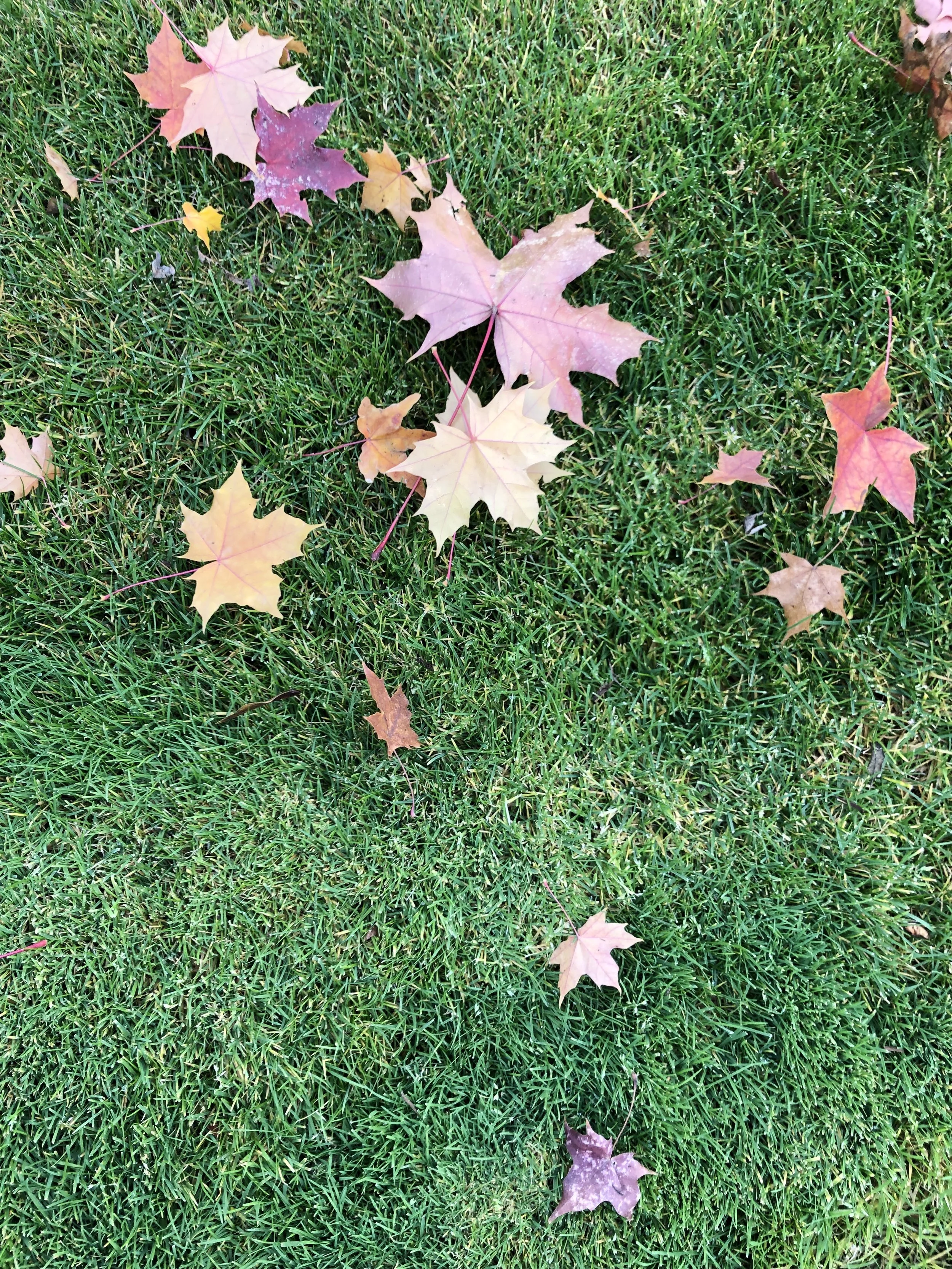 KOKOPUFF (encouragement)