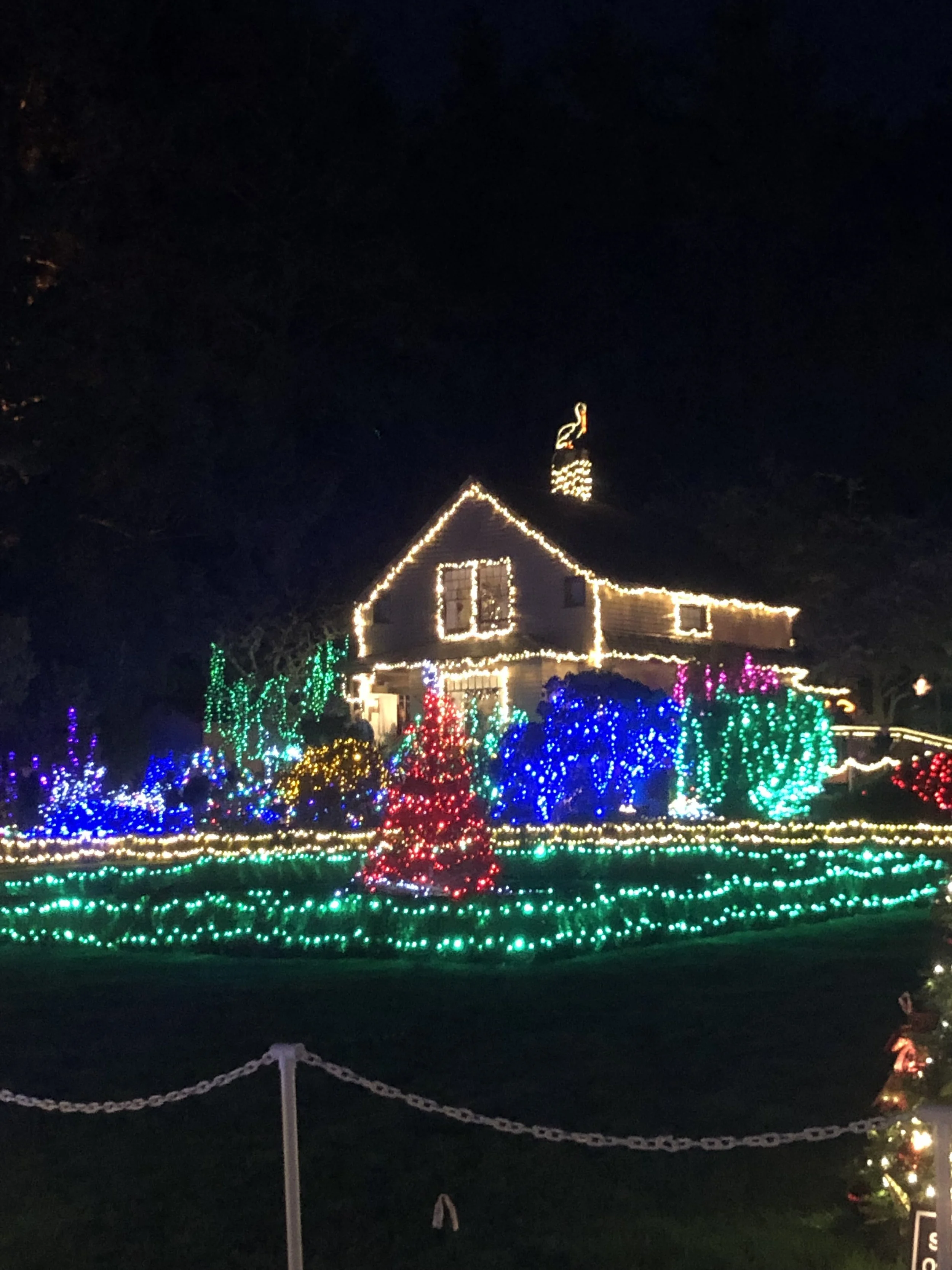 ADOFEPOE-persception