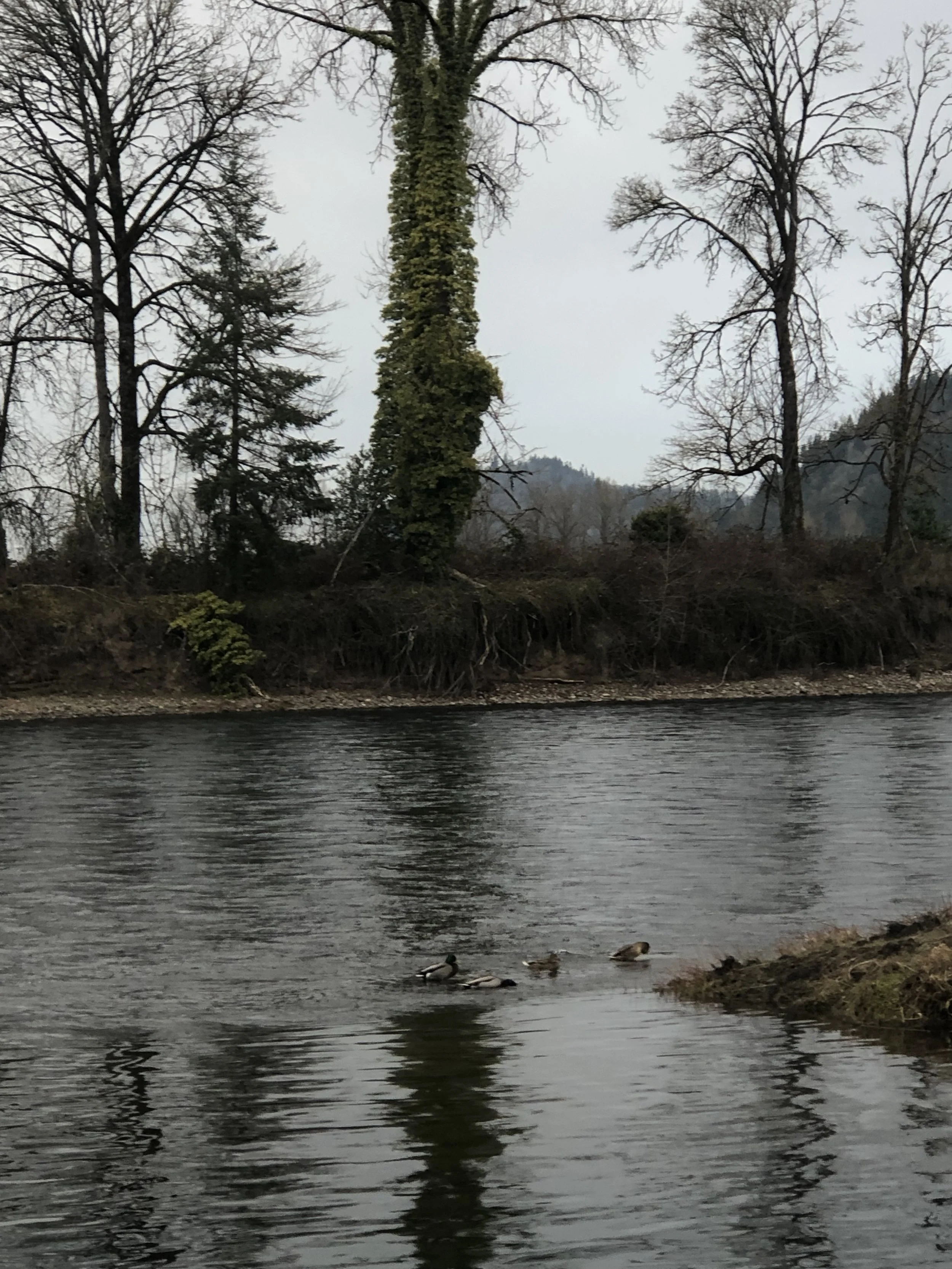 SWI’IRA (remembering)