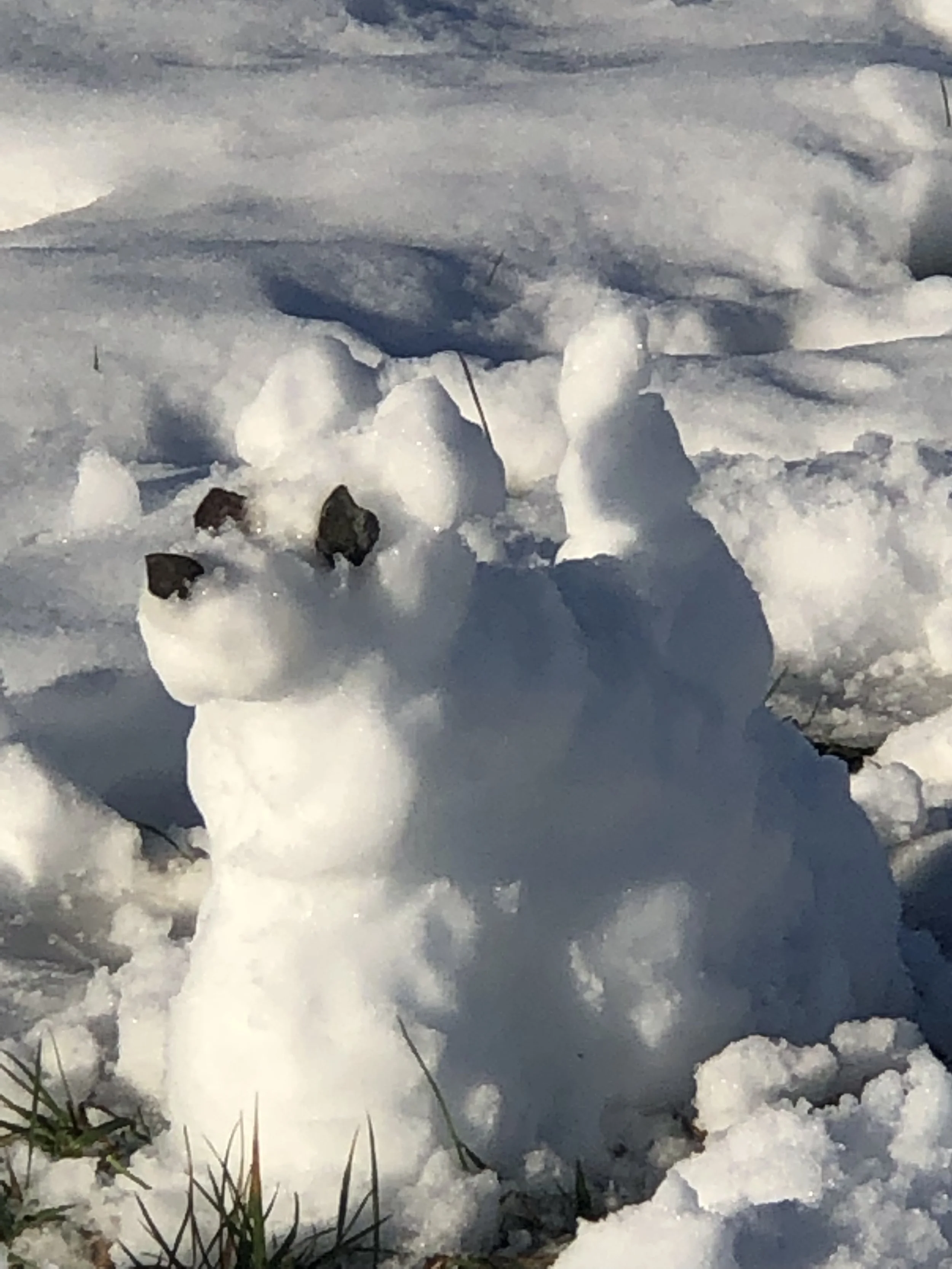 IPTACMAHOL✌️(imagine)