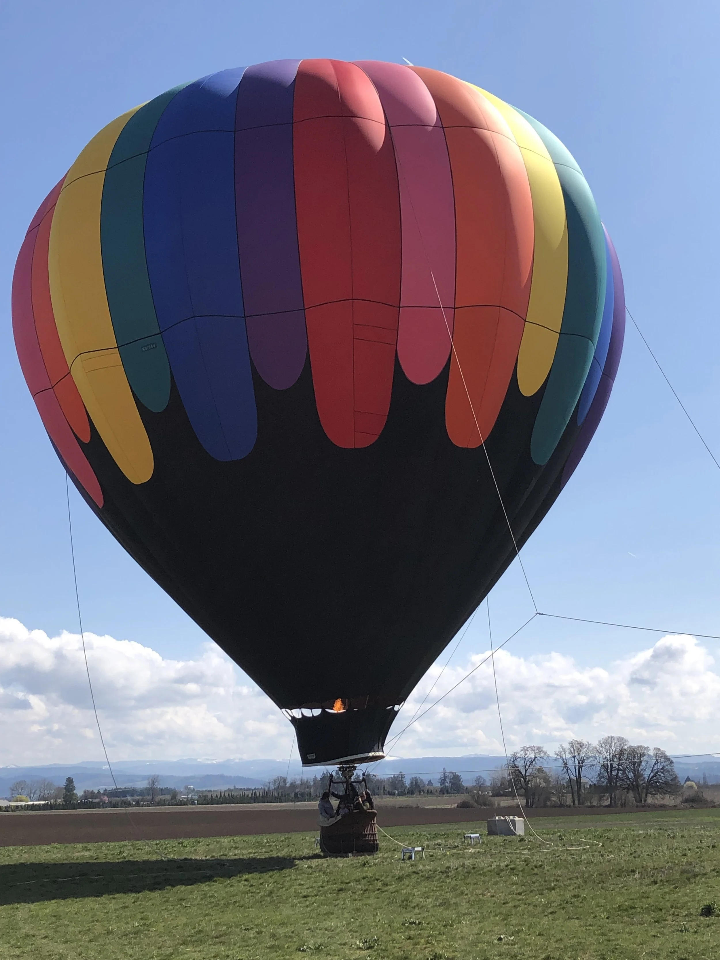 EGEDAFOM 😅🏃🏿‍♂️🍎