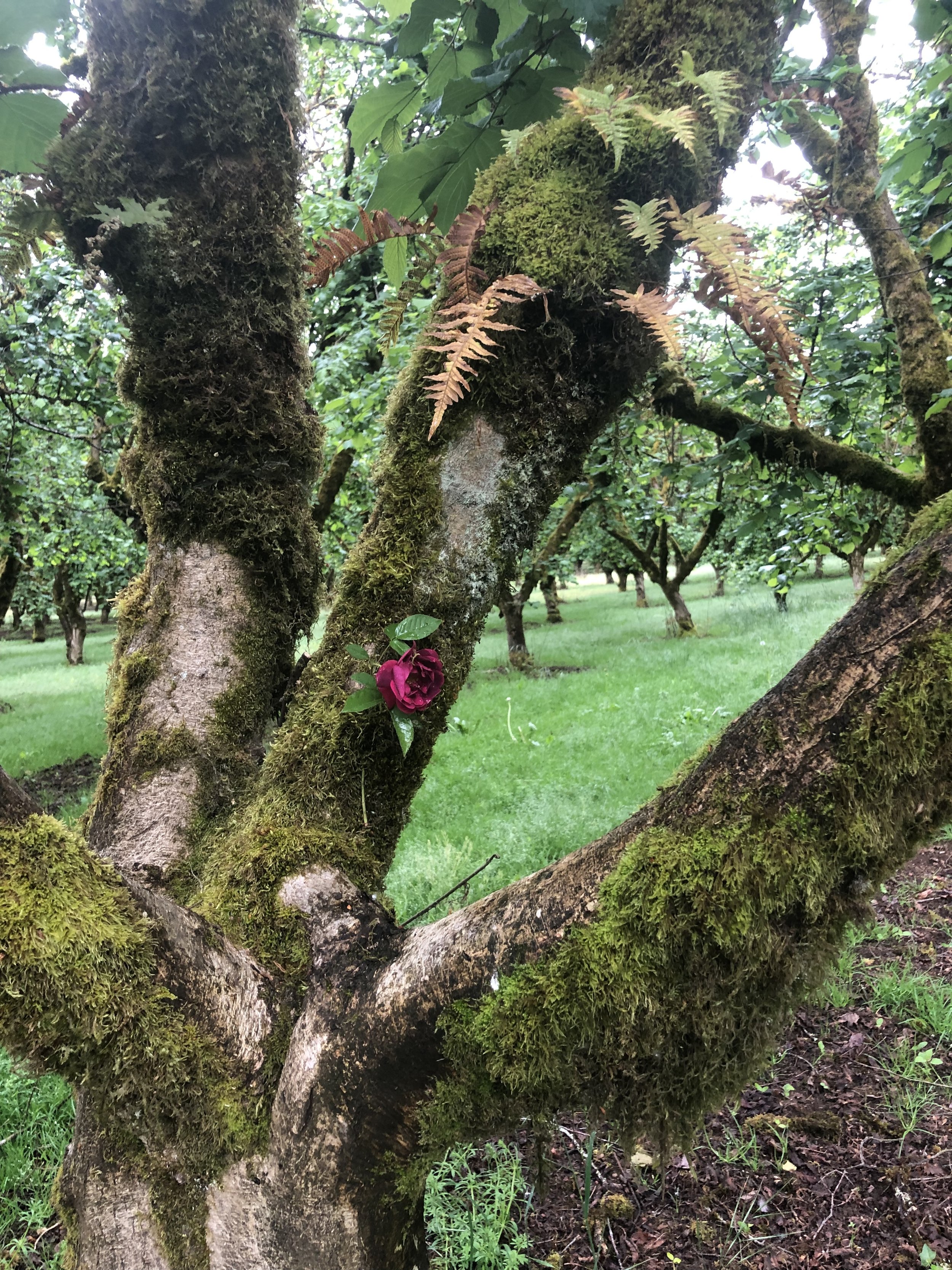  OPOJIAPT👒🧳👑🧶 