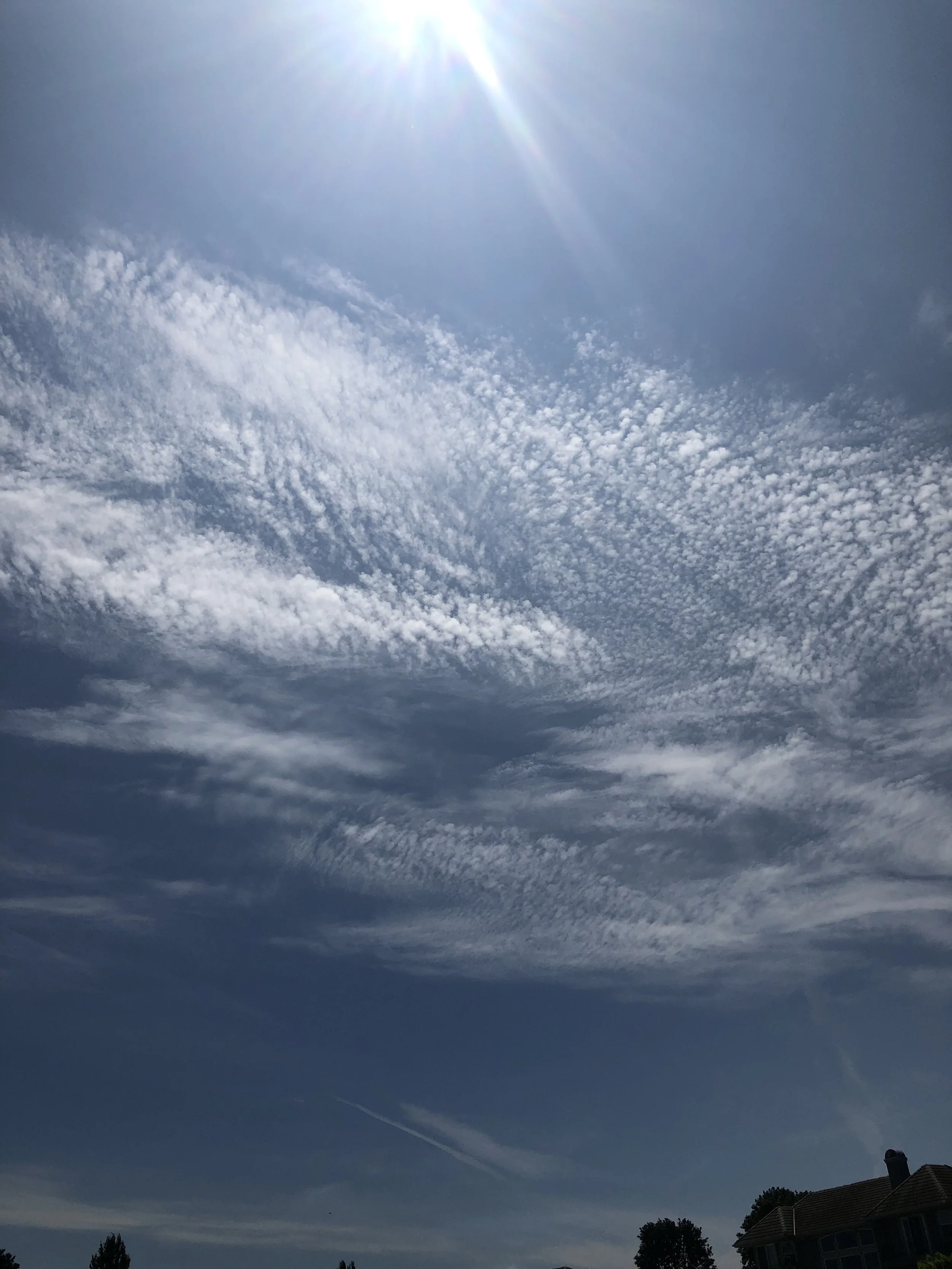 UISATMNE ✌️☮️