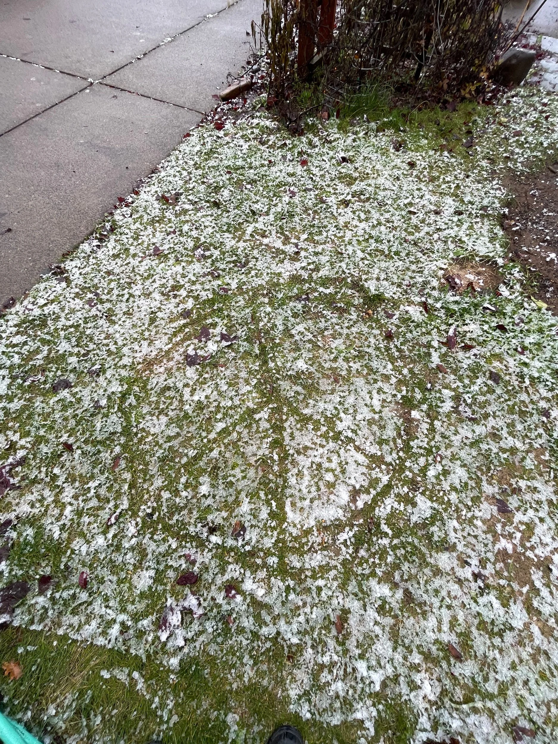 WIBEFO🤔(war is not good for Usao at all)