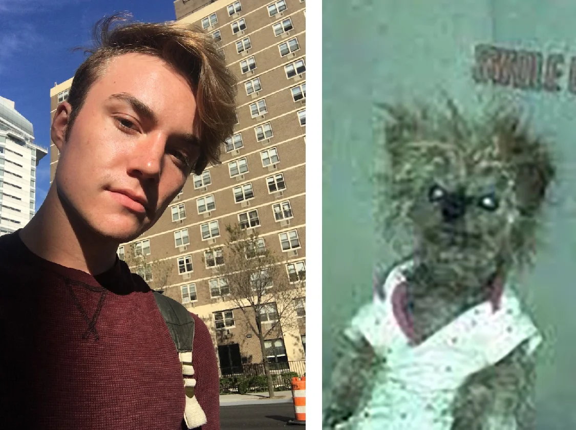 Before/After Capstone Colorized 2017-2018