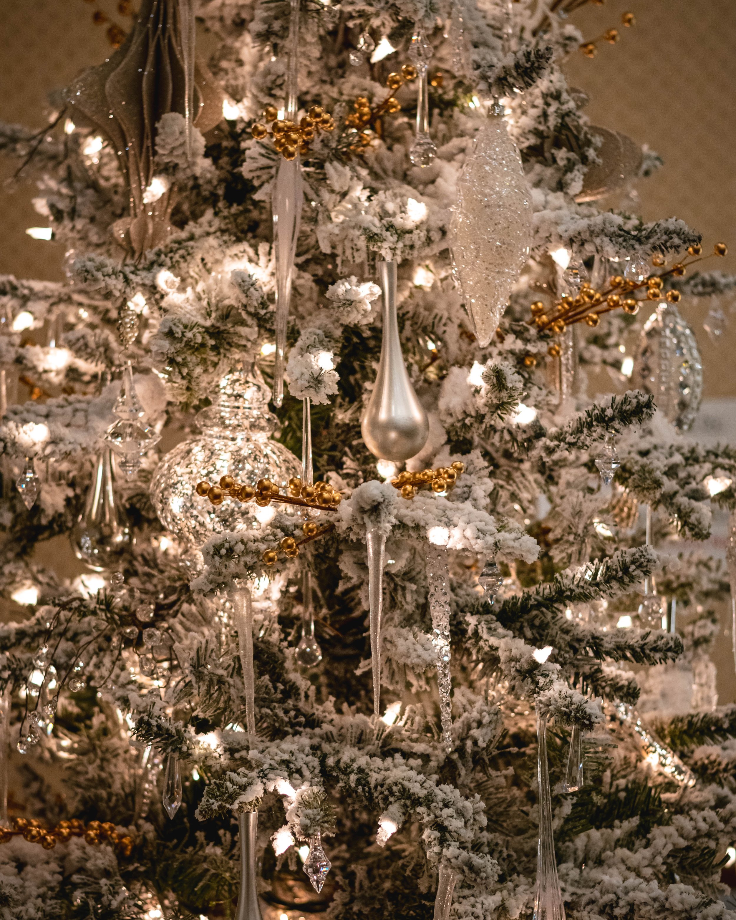 CHristmas Tree Jubilee-2721.jpg