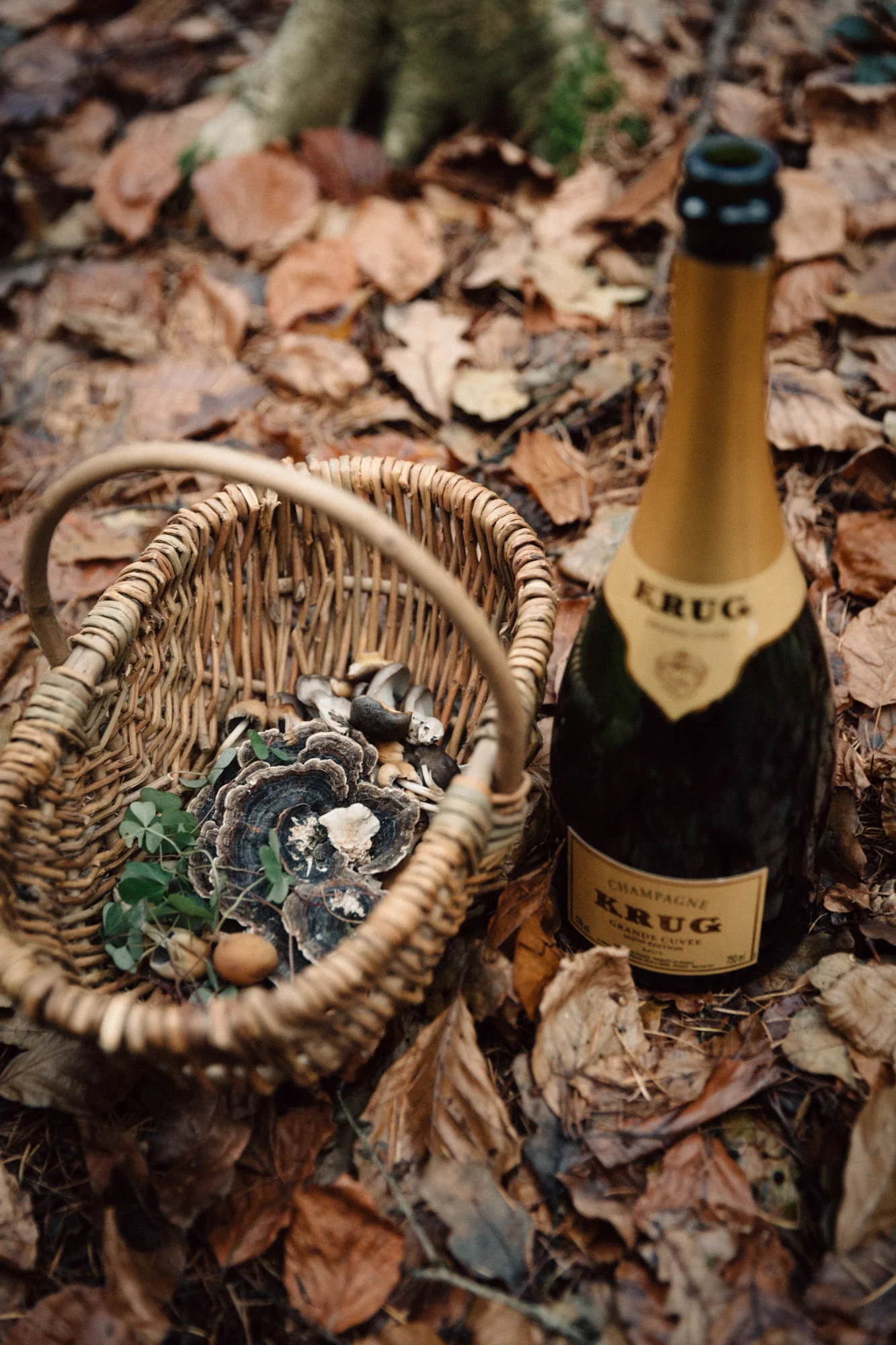 FROM FOREST TO FORK: MAISON KRUG COLLABORATES WITH MICHELIN STAR CHEFS ON NEW COOKBOOK
