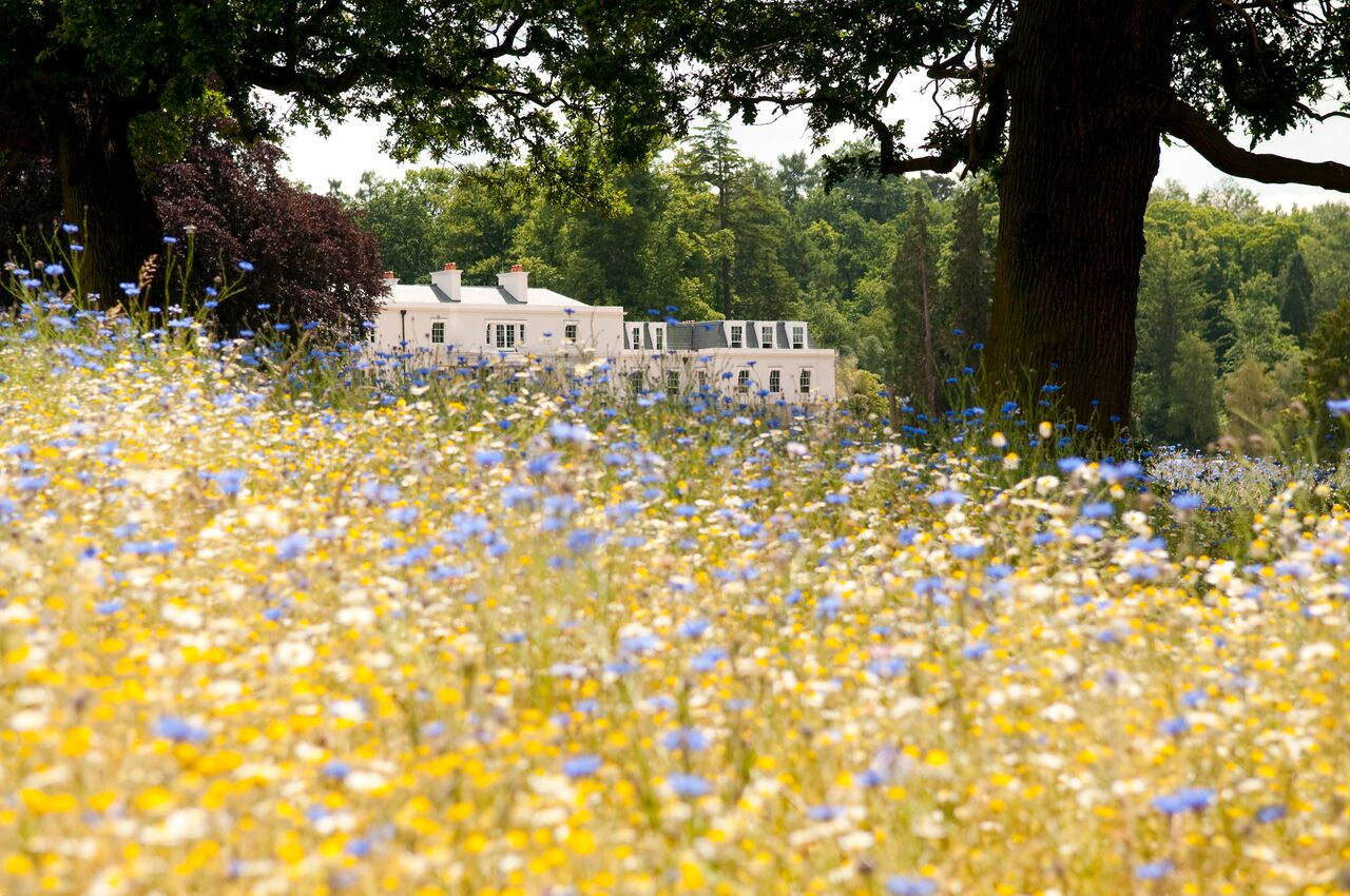 Meadow & Exterior back - Coworth Park