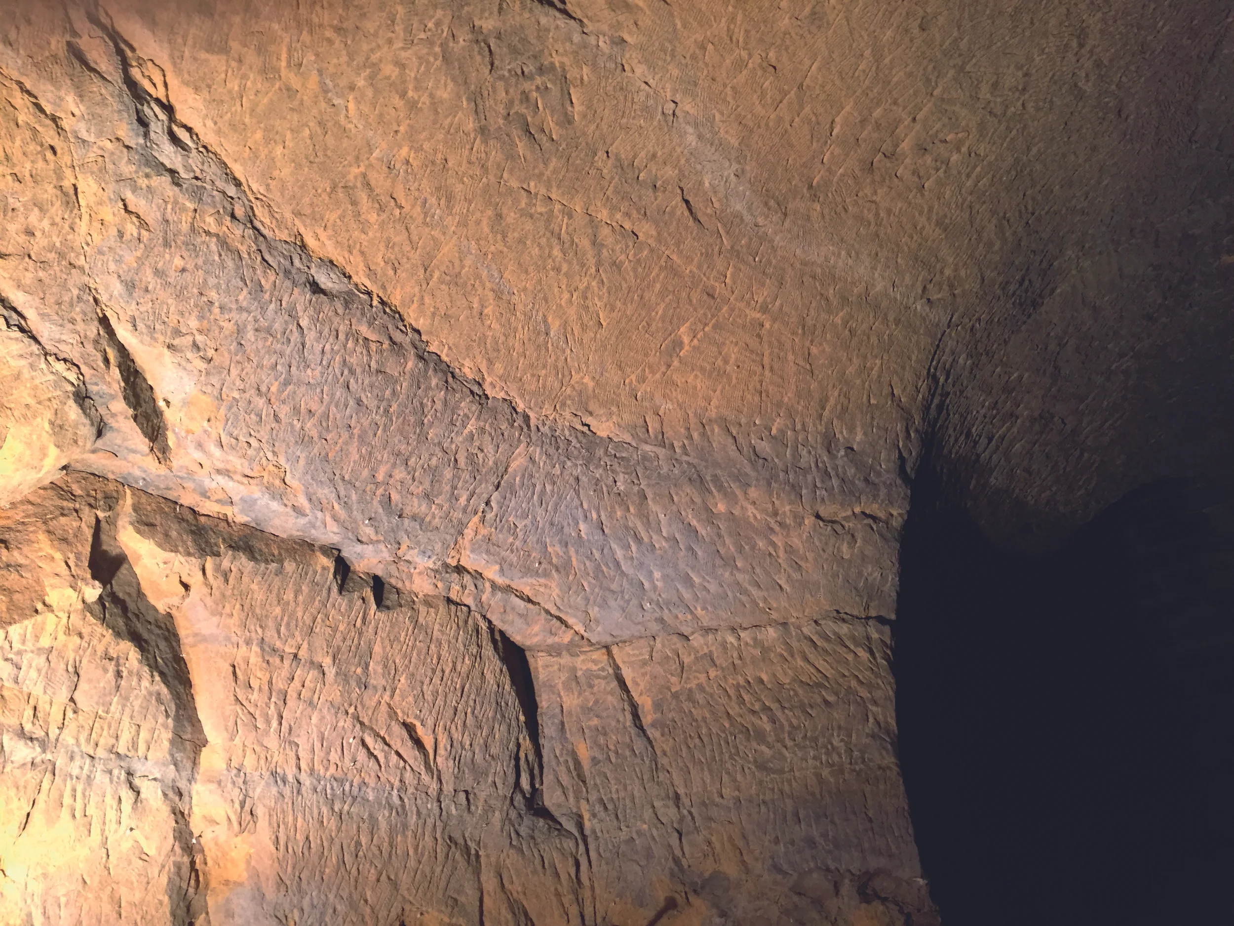 Detail of the Grotto Wall