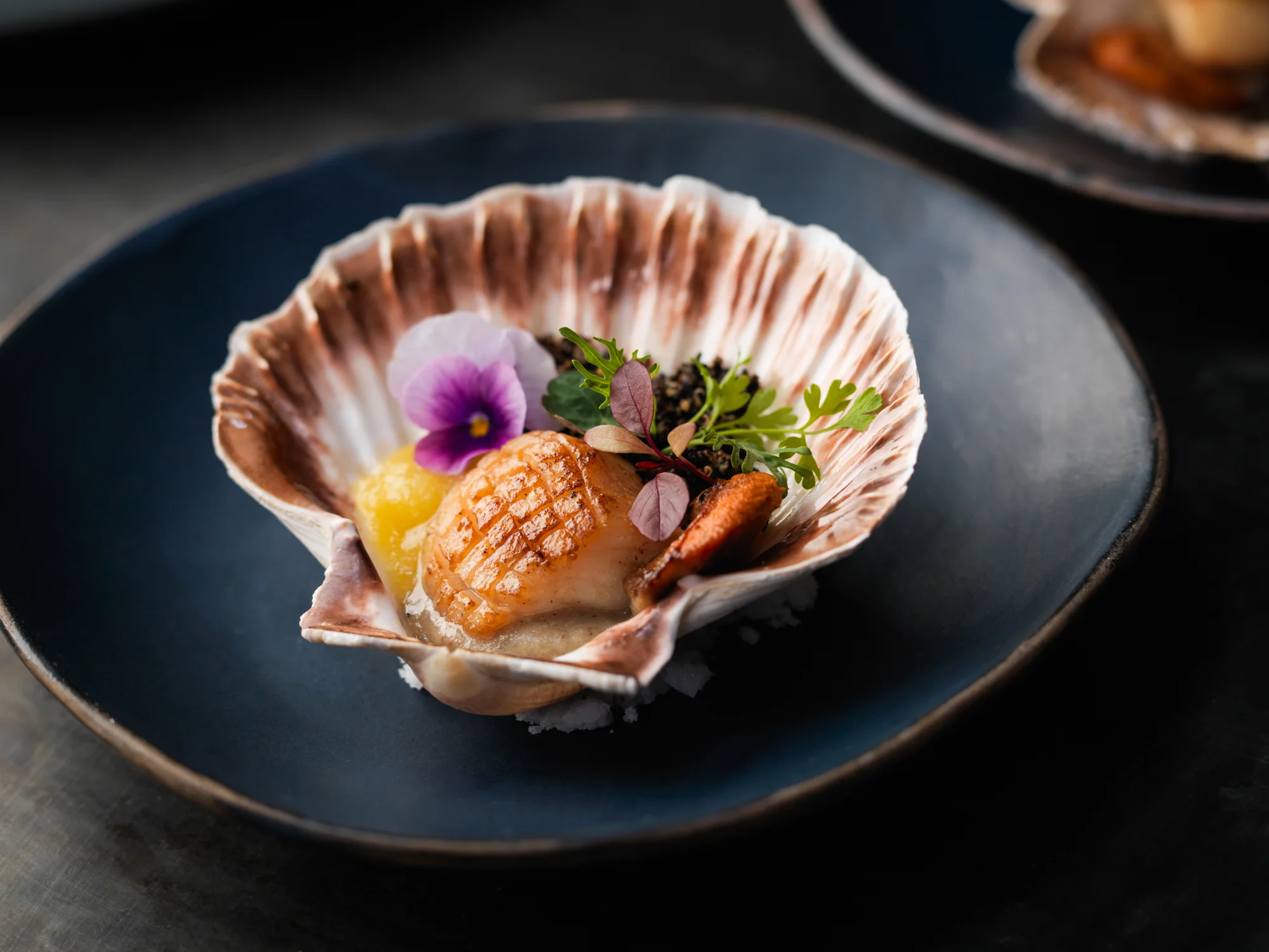 BR_Scallops_1148.jpg