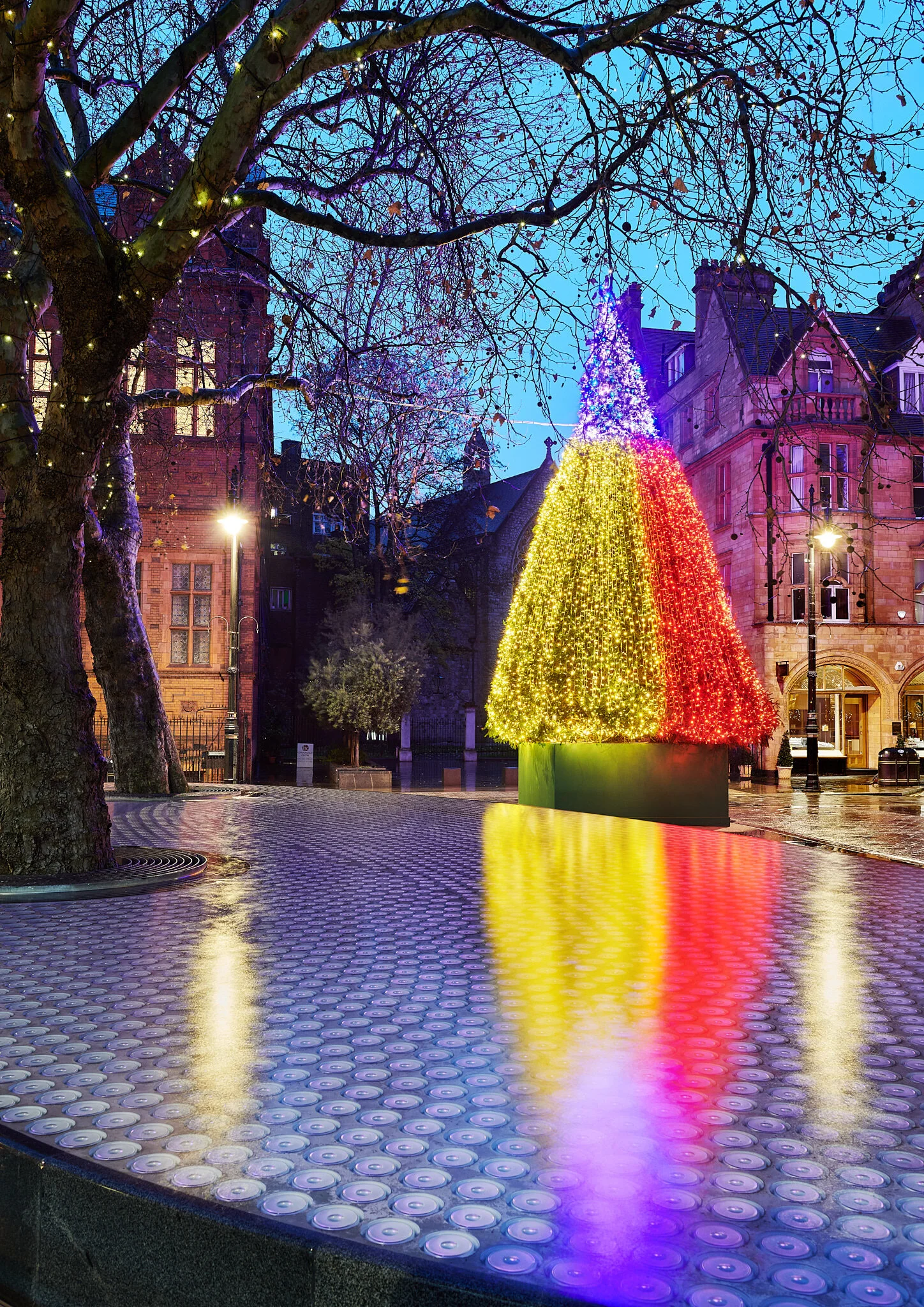 NEW: THE CONNAUGHT CHRISTMAS TREE 2019 BY SEAN SCULLY