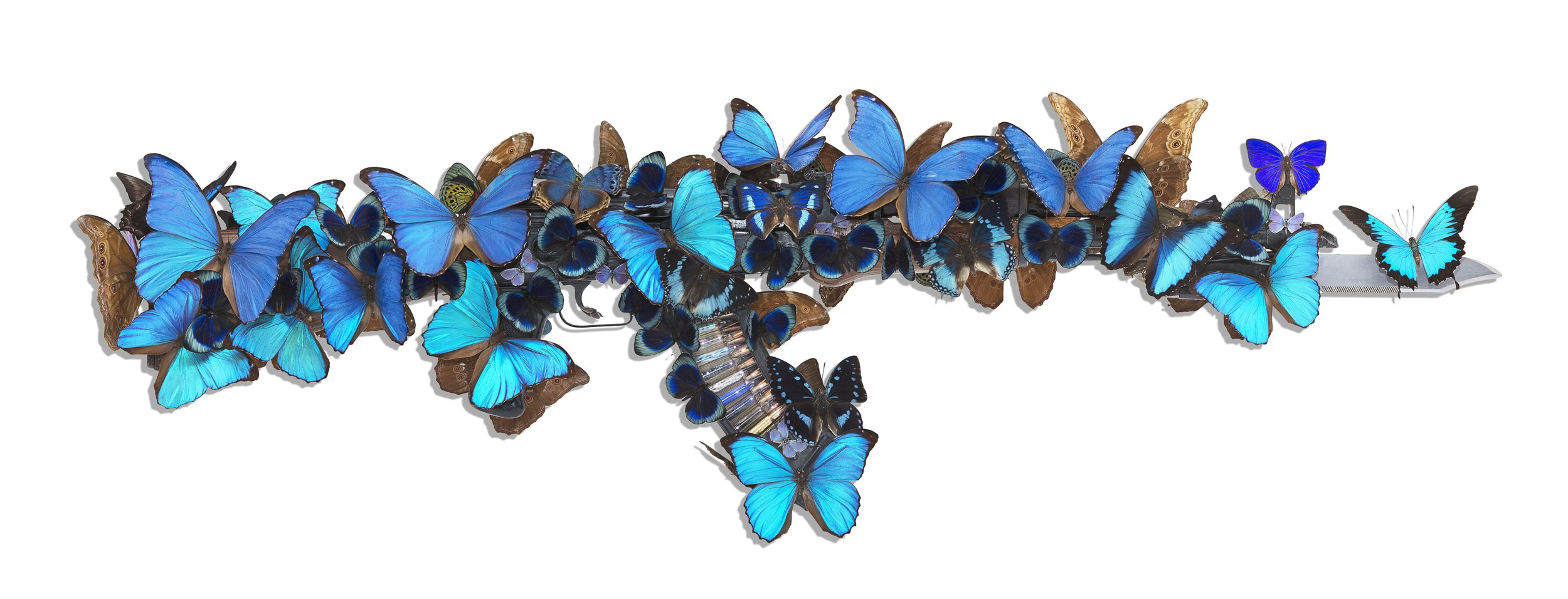 Bran Symondson, Blue, 2020. (AK47 Embellished with Real Butterflies).jpg