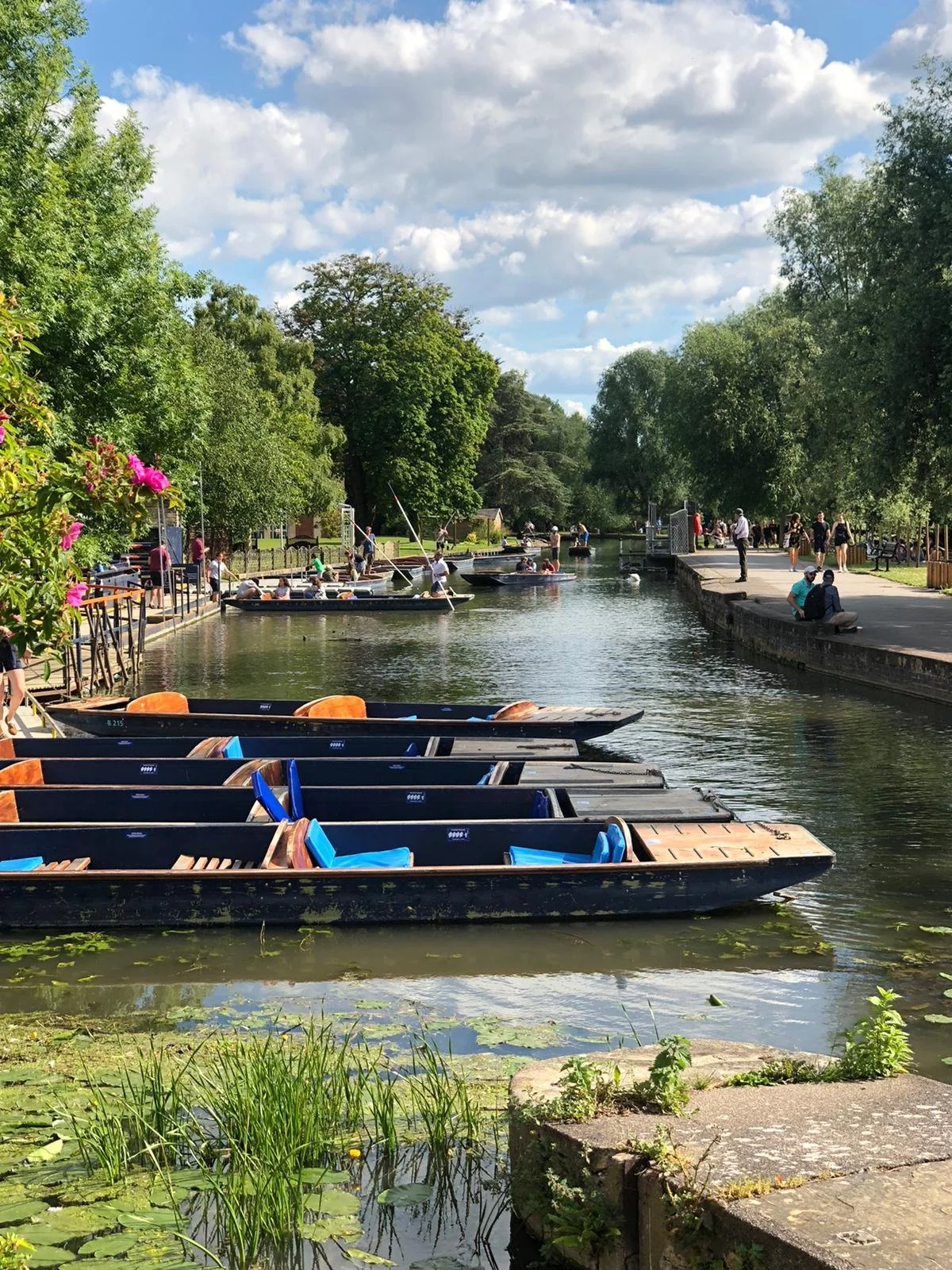 Cambridge punting 3, credit Scudamore's Punting.jpg