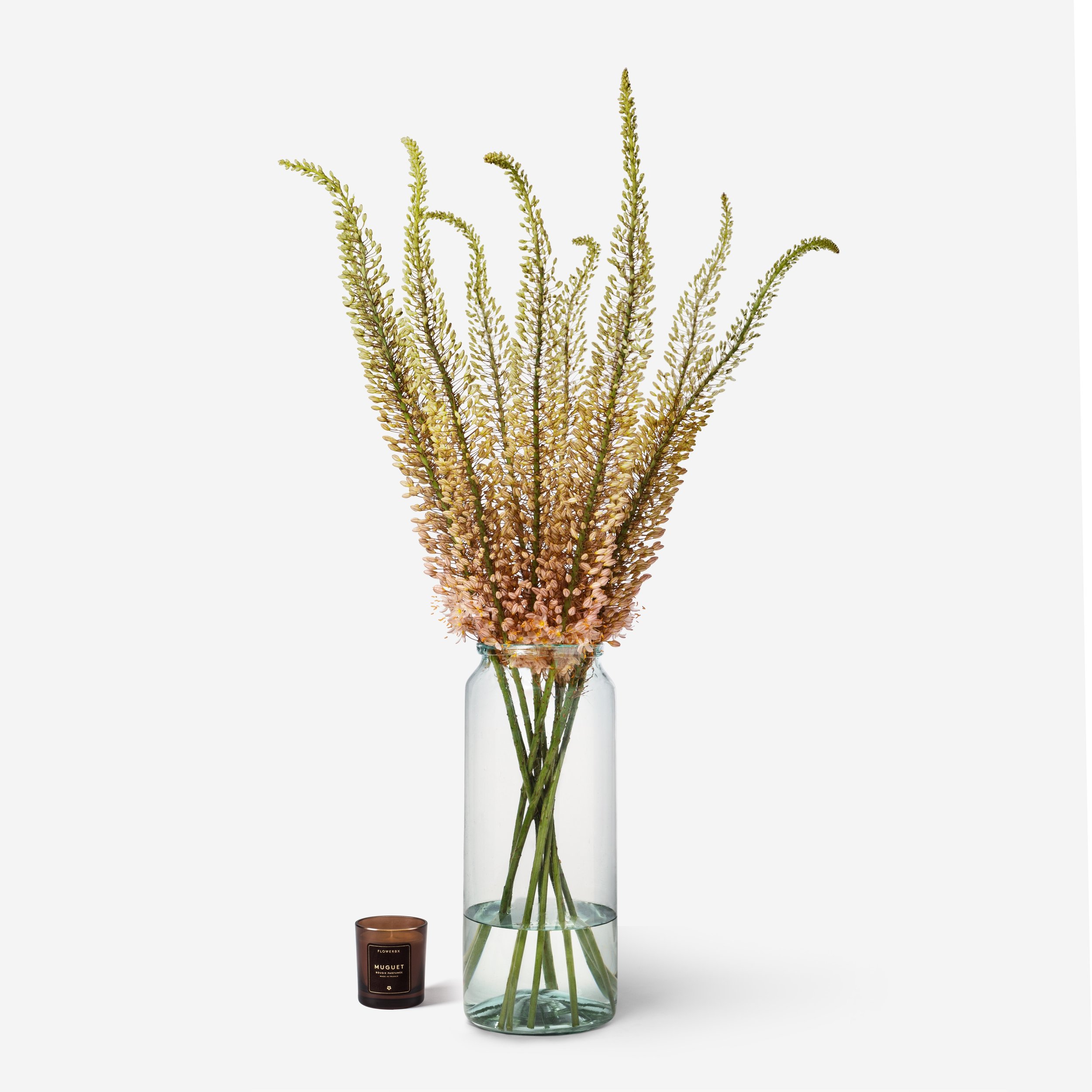 Foxtail-Lily-Sunset-Scale-Vase-TL-APOTH-x10-W-CANDLE.jpg